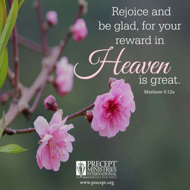 Image of 'Rejoice and be glad, for your reward in Heaven is great.' Matthew 5:12a