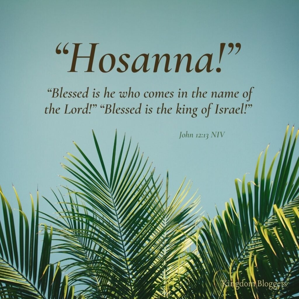 Image of 'Blessed is He who comes in the name of the Lord. Hosanna!'