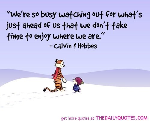 Image of "We're so busy watching our for what's just ahead of us that we don't take time to enjoy where we are." Calving & Hobbes