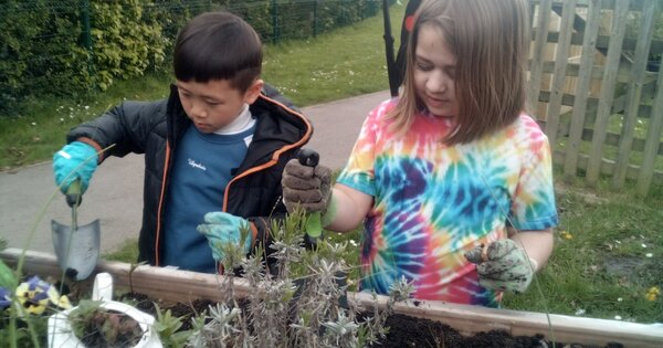 Year 2 Gardening Club | Park Road Community Primary School