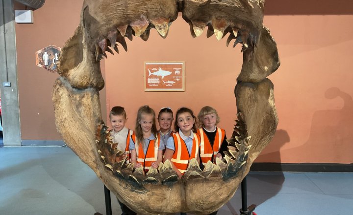 Image of Year 1 Visit Blue Planet Aquarium