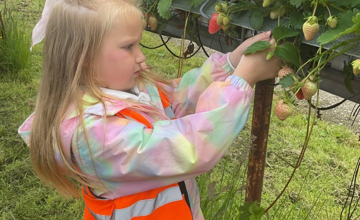 Image of Reception Pupils enjoy Farm Adventure at Kenyon Hall