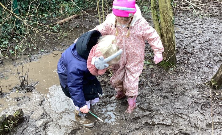 Image of Going on a Bear Hunt at Forest School