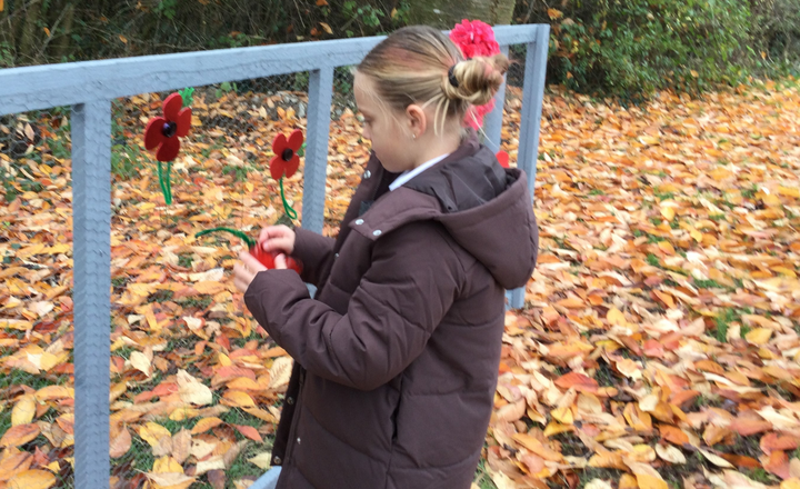 Image of  A Garden of Reflection for Remembrance Day  