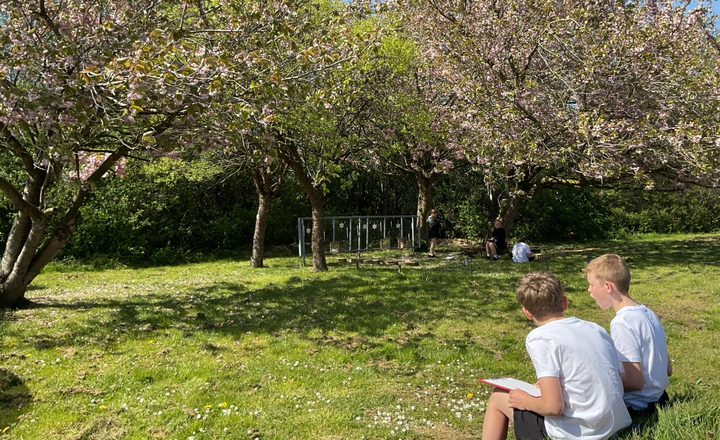 Image of Celebrating Earth Day