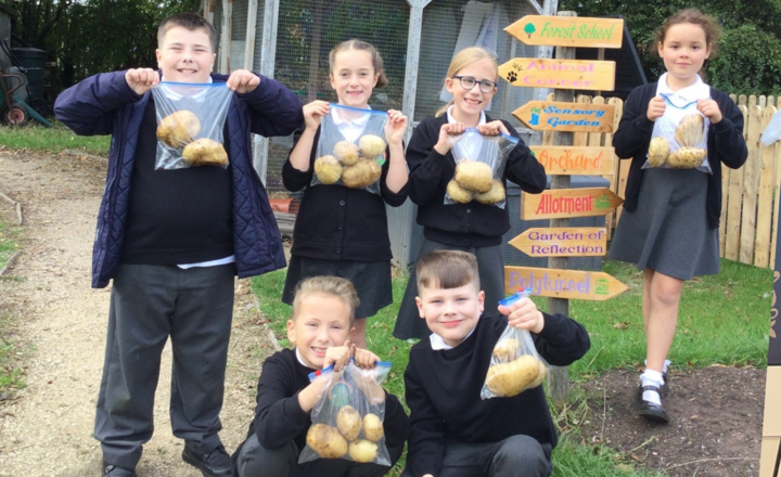 Image of A productive start to Gardening Club