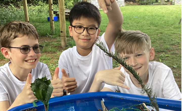 Image of Spotlight on Forest School