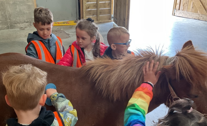 Image of Farm Adventure for Reception