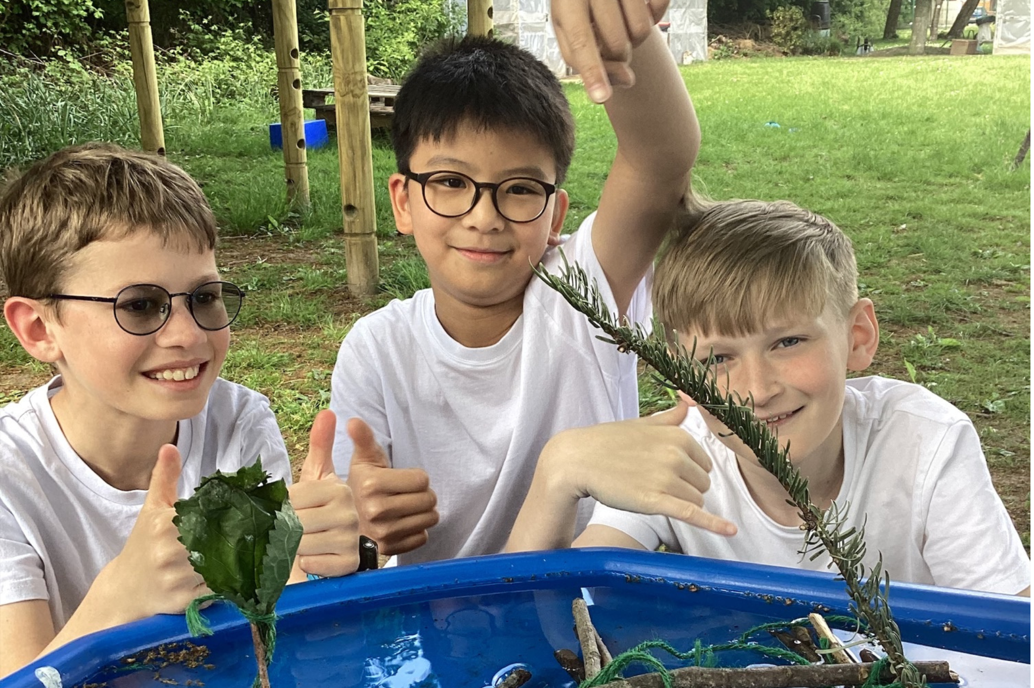 Image of Spotlight on Forest School