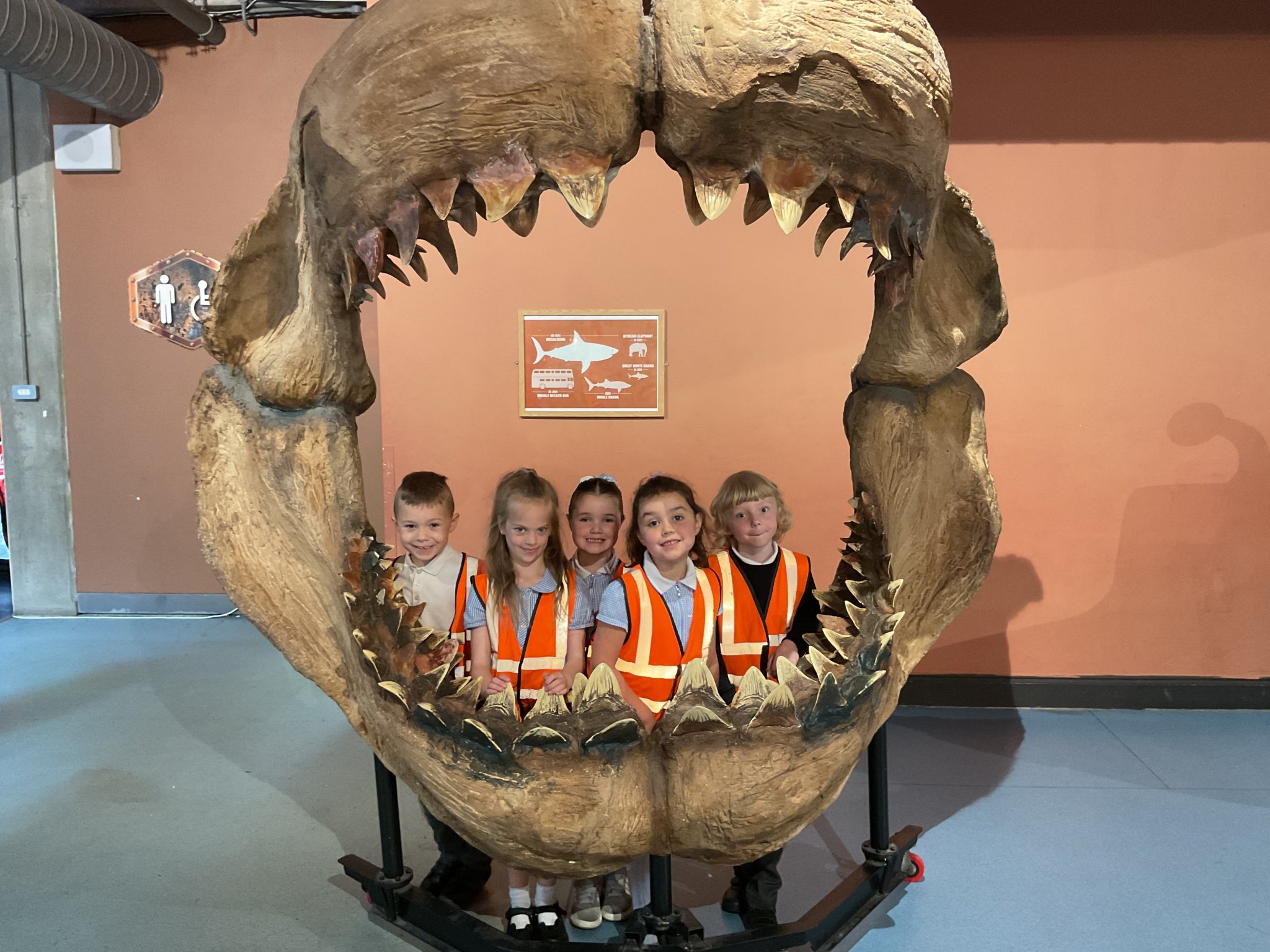 Image of Year 1 Visit Blue Planet Aquarium