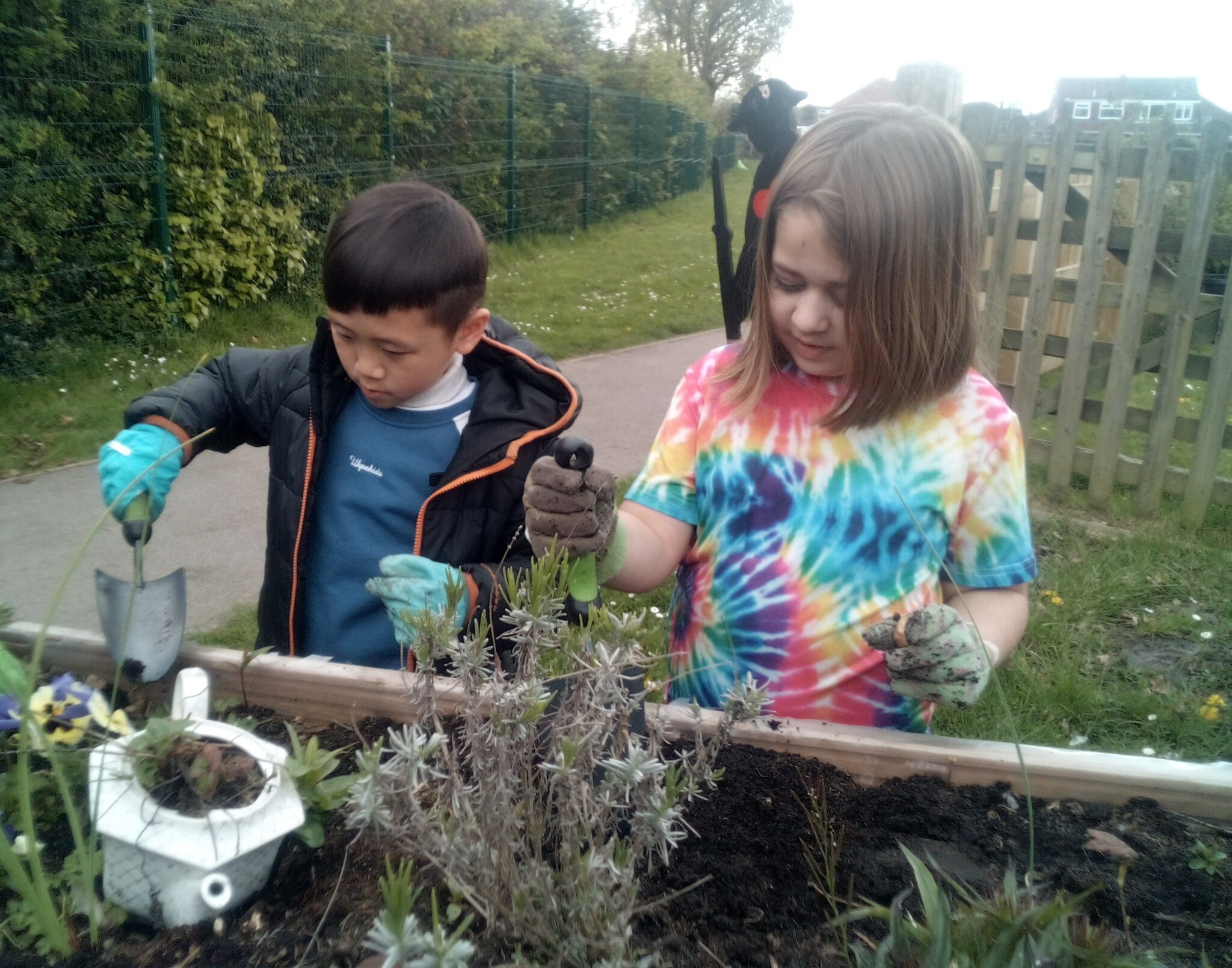 Image of Year 2 Gardening Club