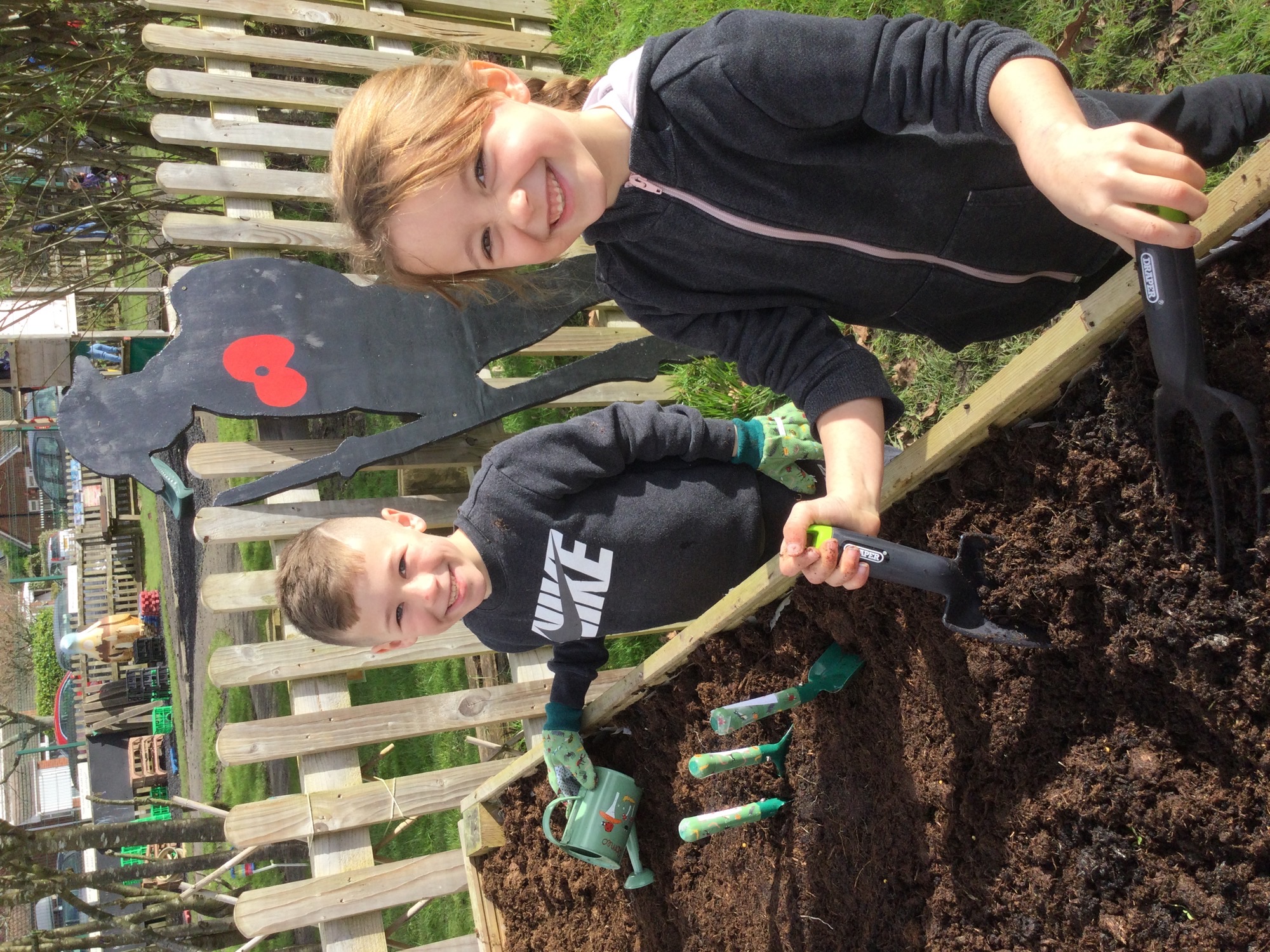 Image of The Big Dig at Park Road