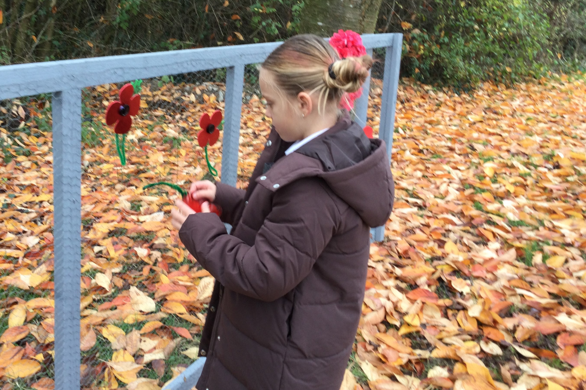 Image of  A Garden of Reflection for Remembrance Day  