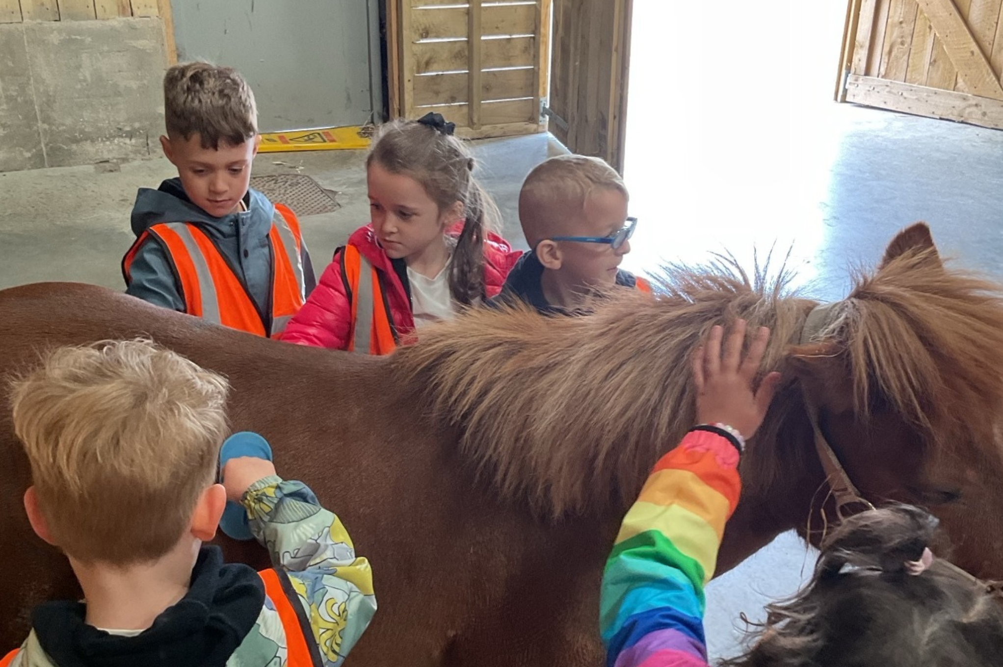 Image of Farm Adventure for Reception