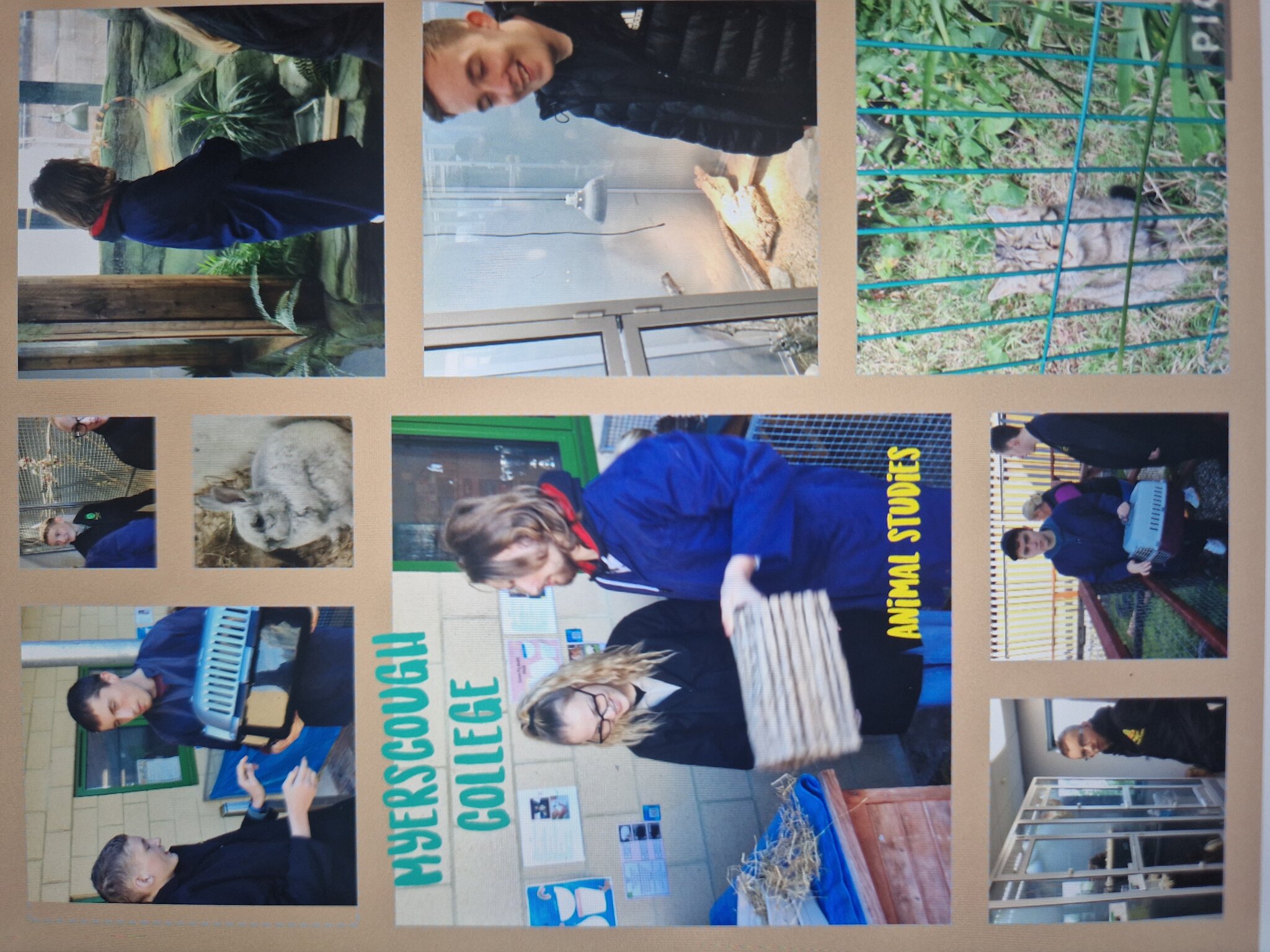 Image of Animal studies @Myerscough  College