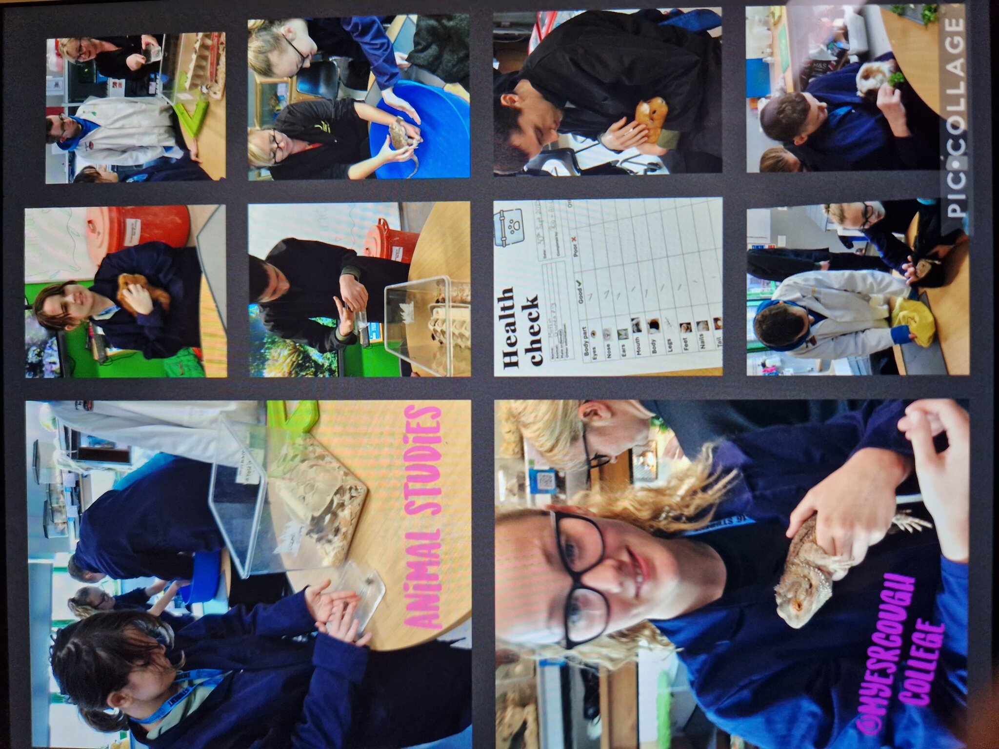 Image of Animal studies @Myerscough College