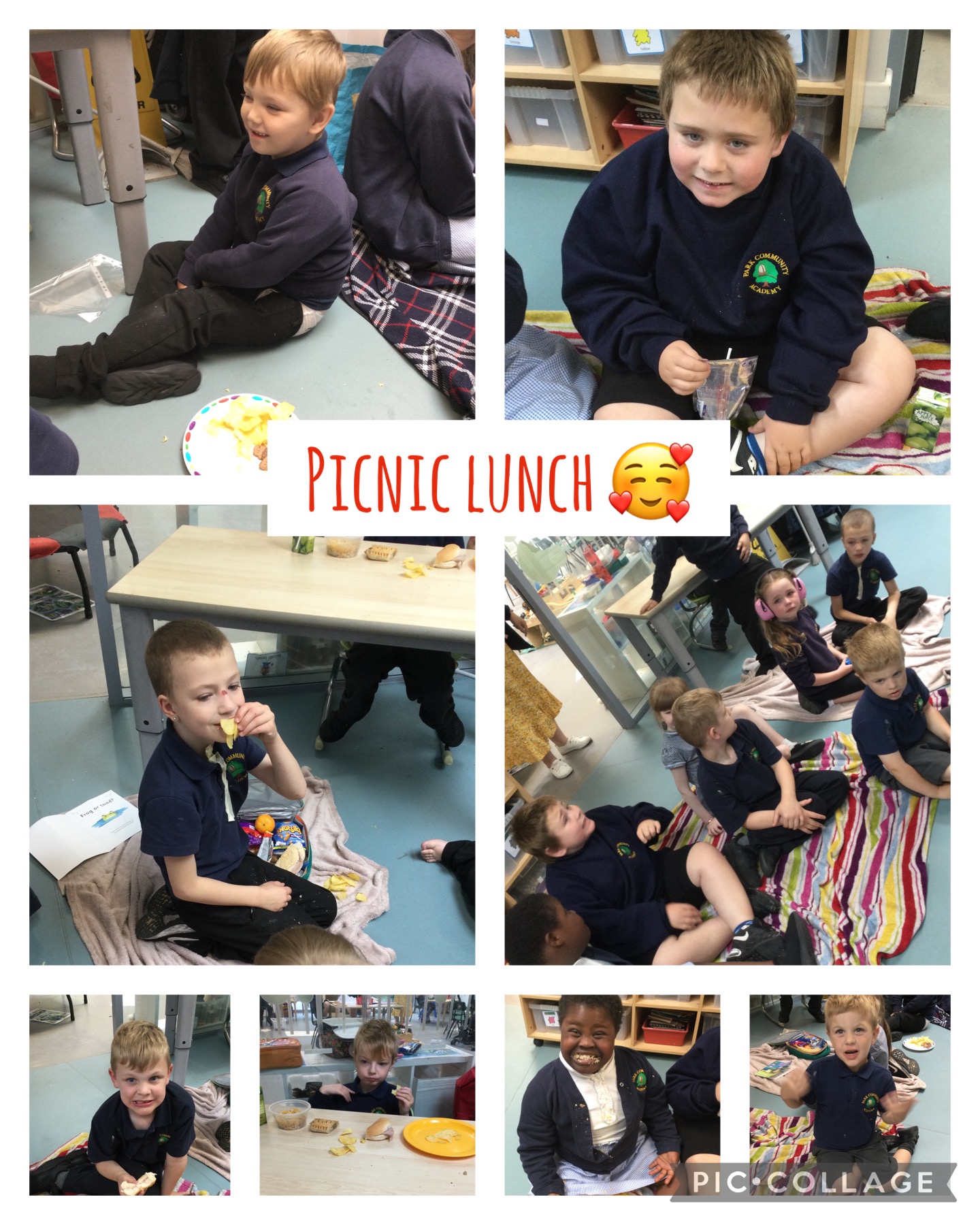 Image of Picnic Lunch