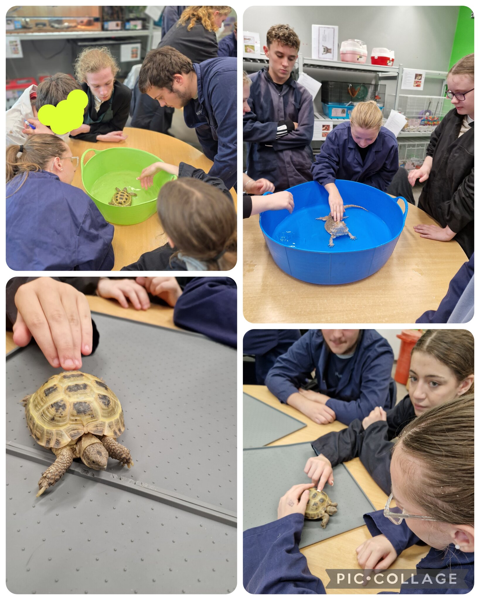 Image of Myerscough Animal Care