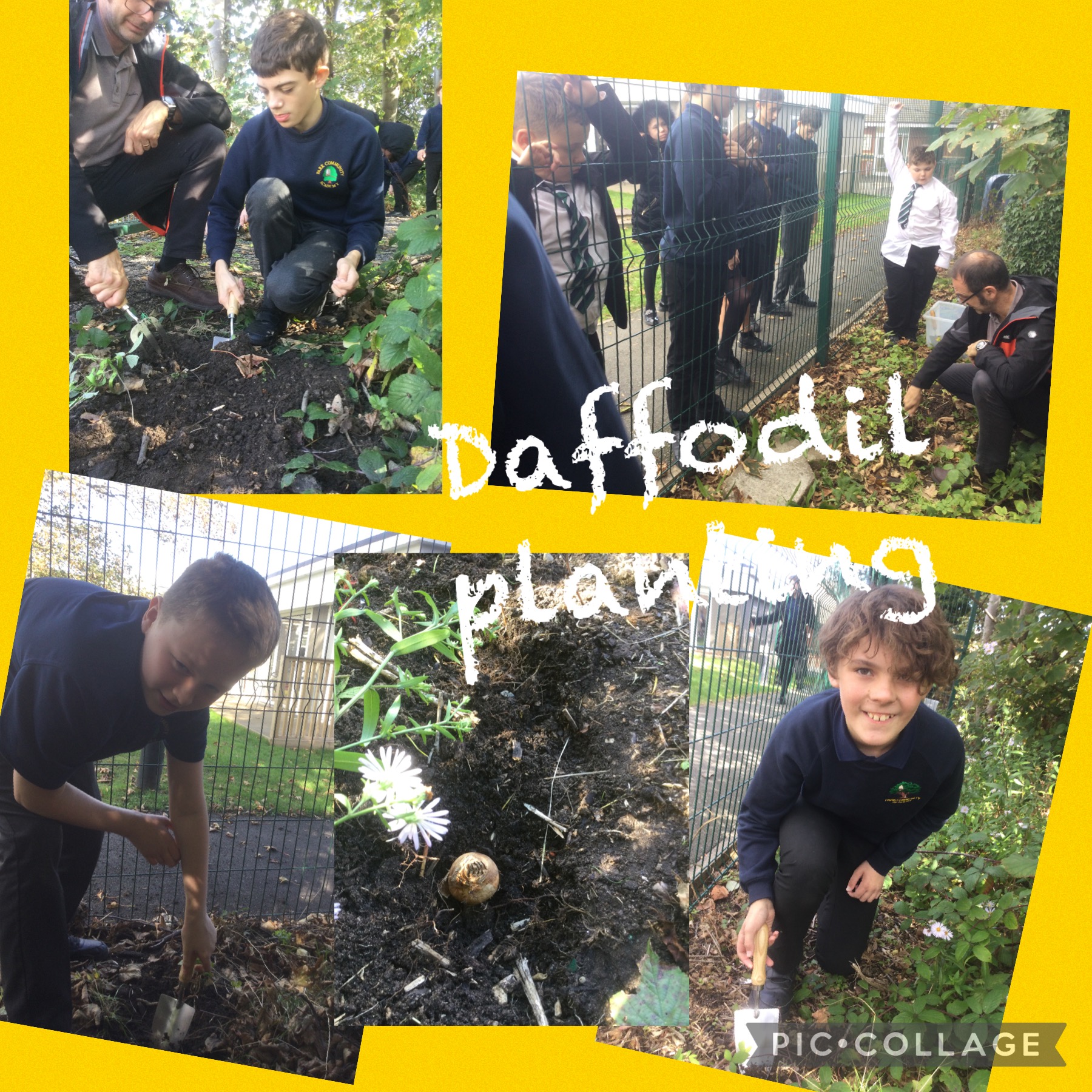 Image of Forest School