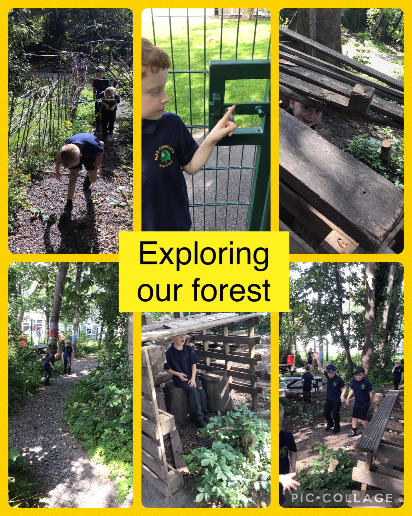 Image of Forest school