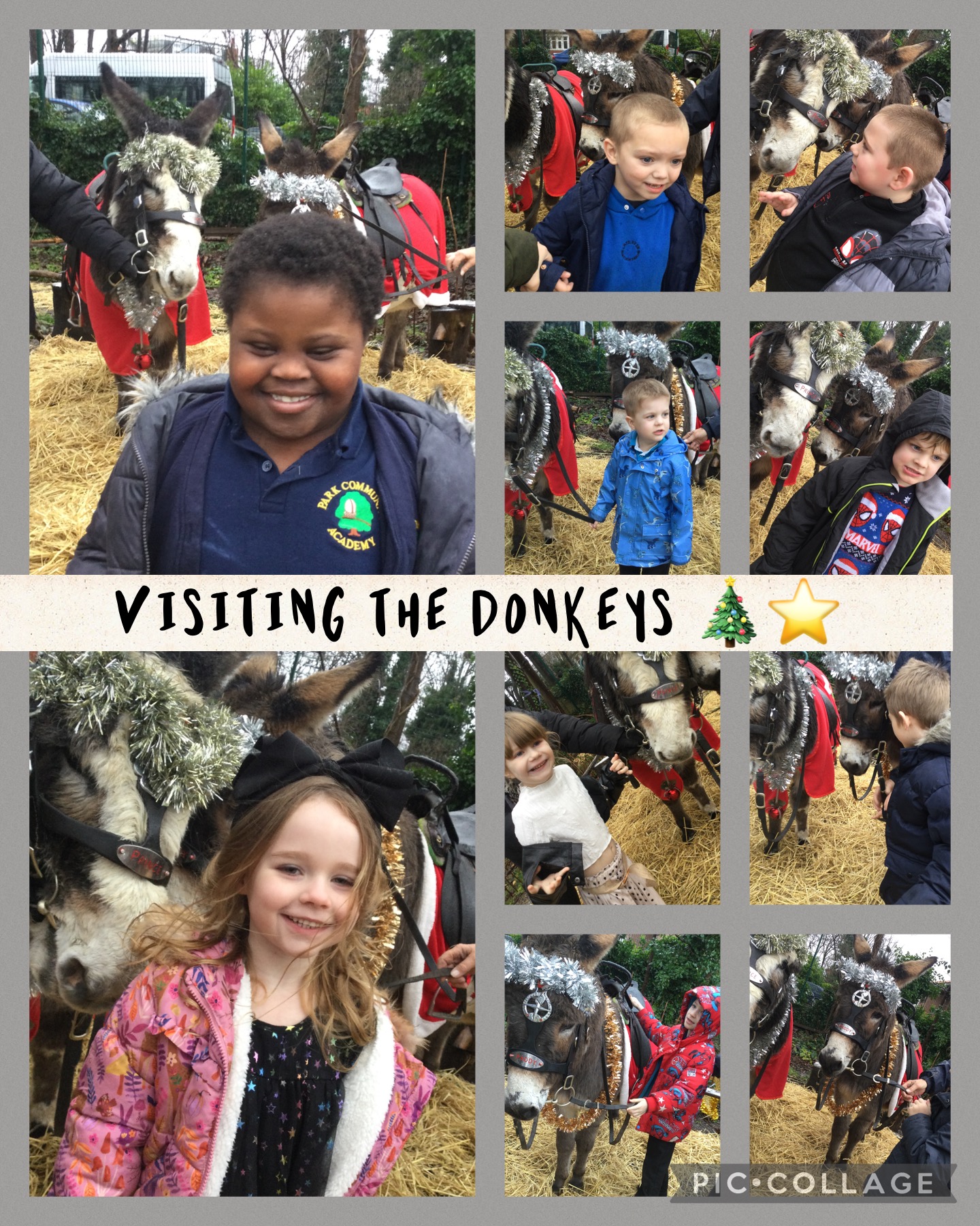 Image of Visiting the donkeys