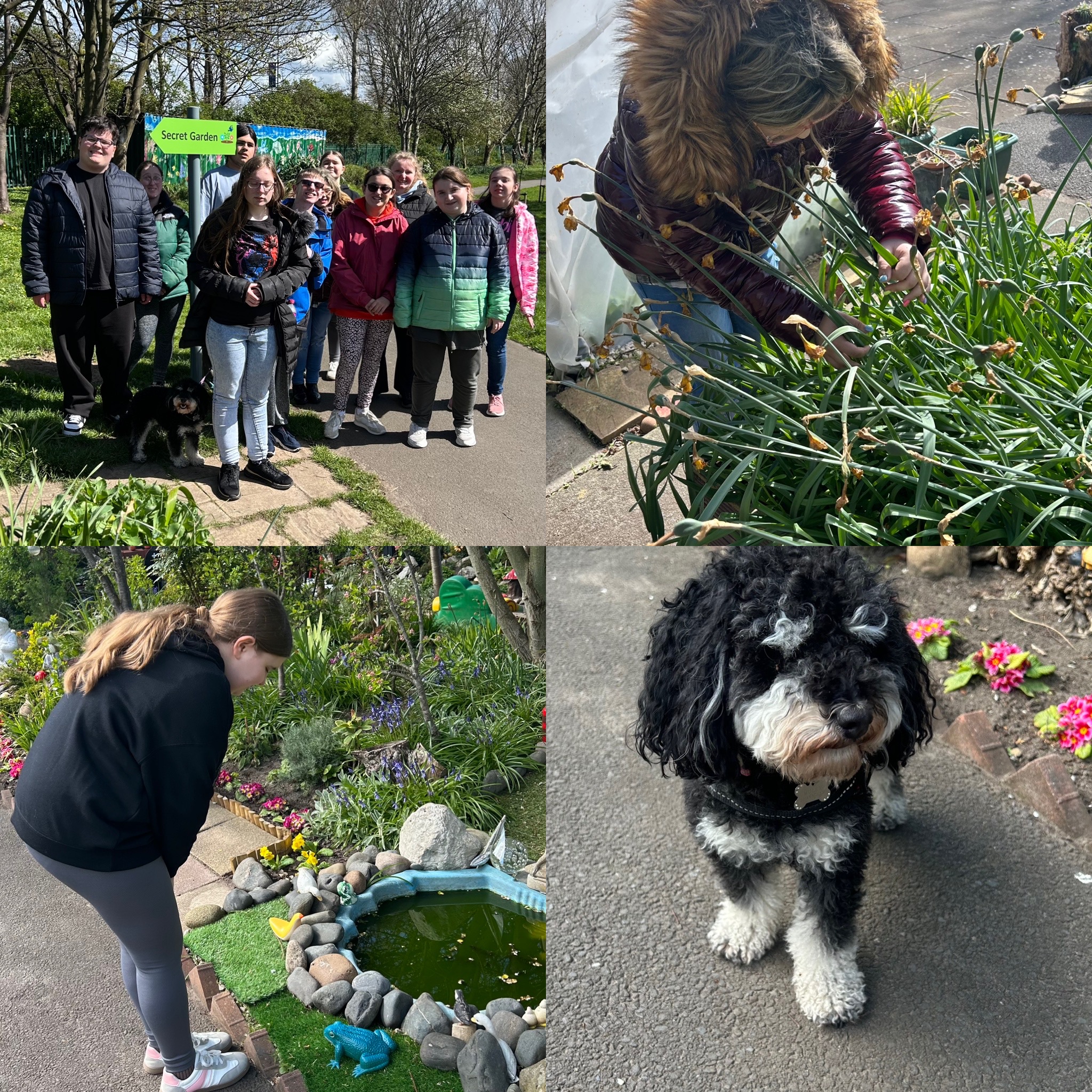 Image of Secret garden