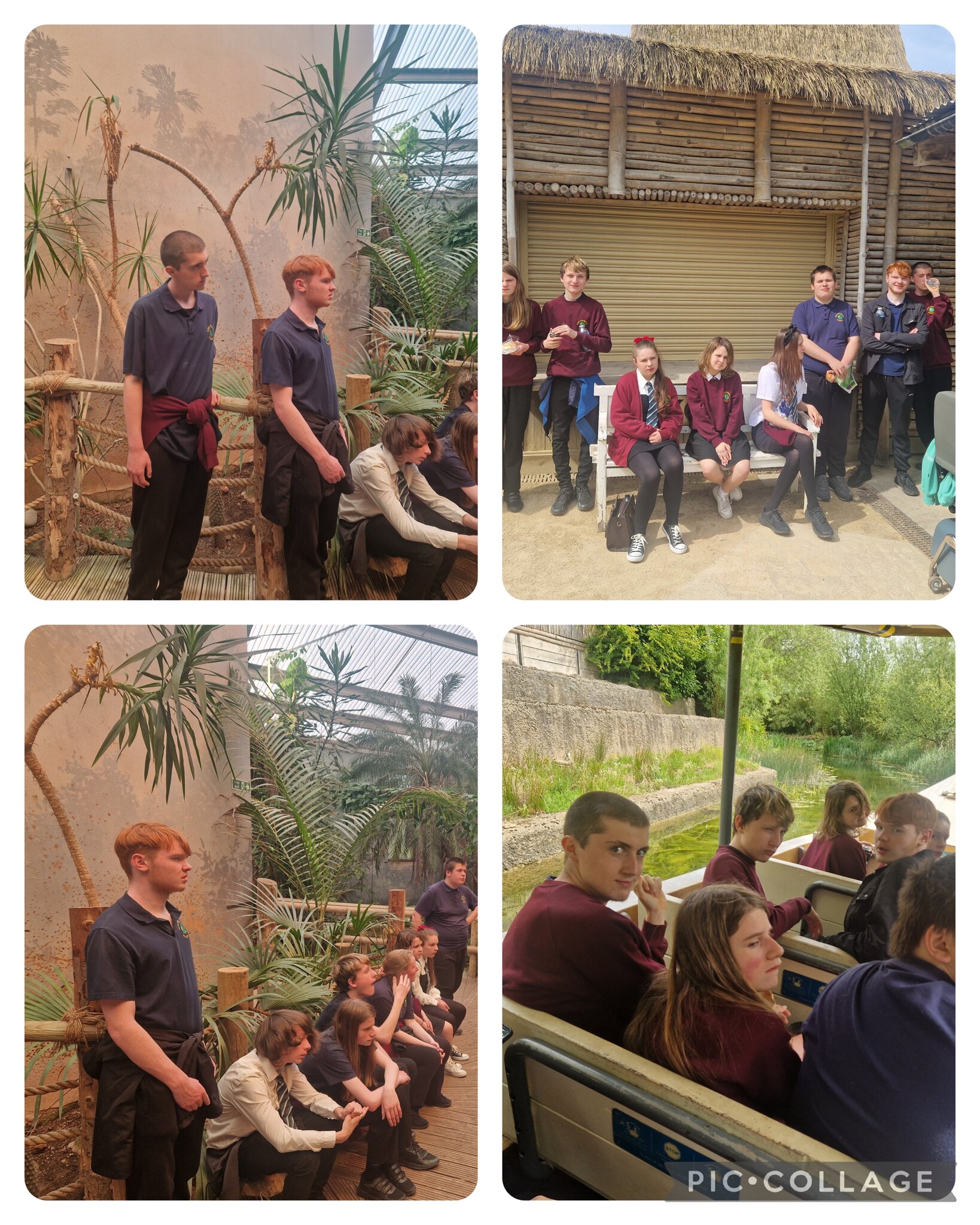 Image of Chester Zoo trip