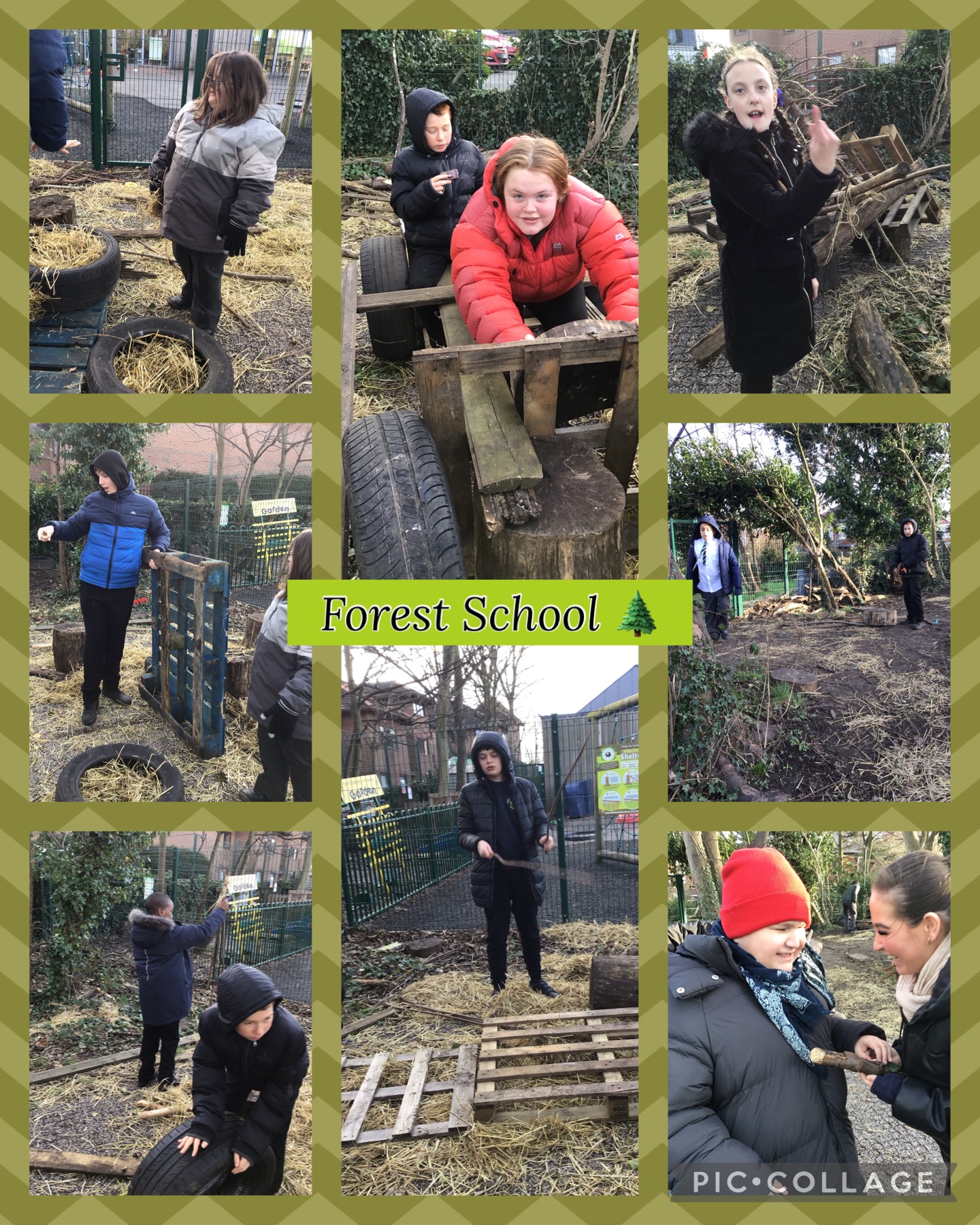 Image of Forest School