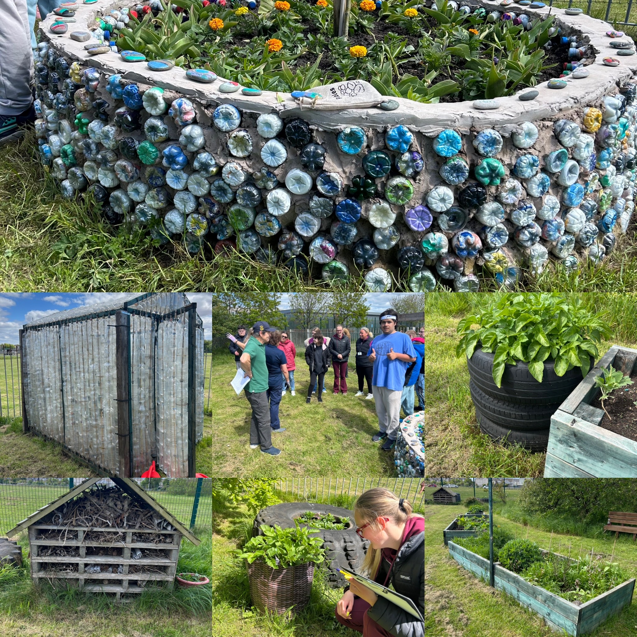 Image of Eco garden 