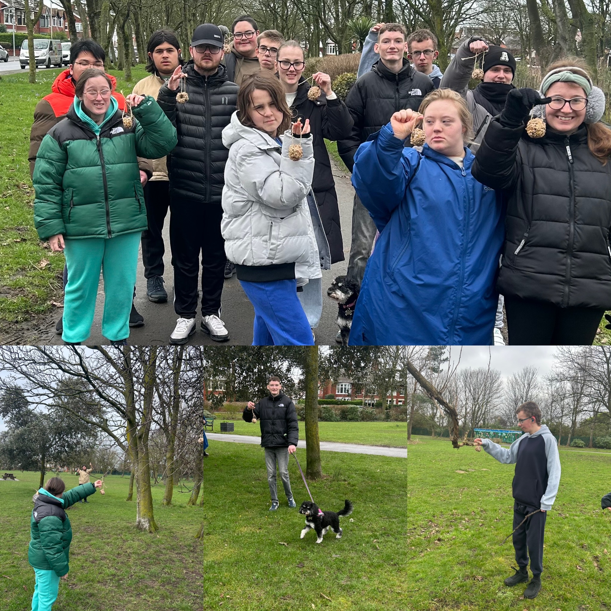 Image of Bird feeders