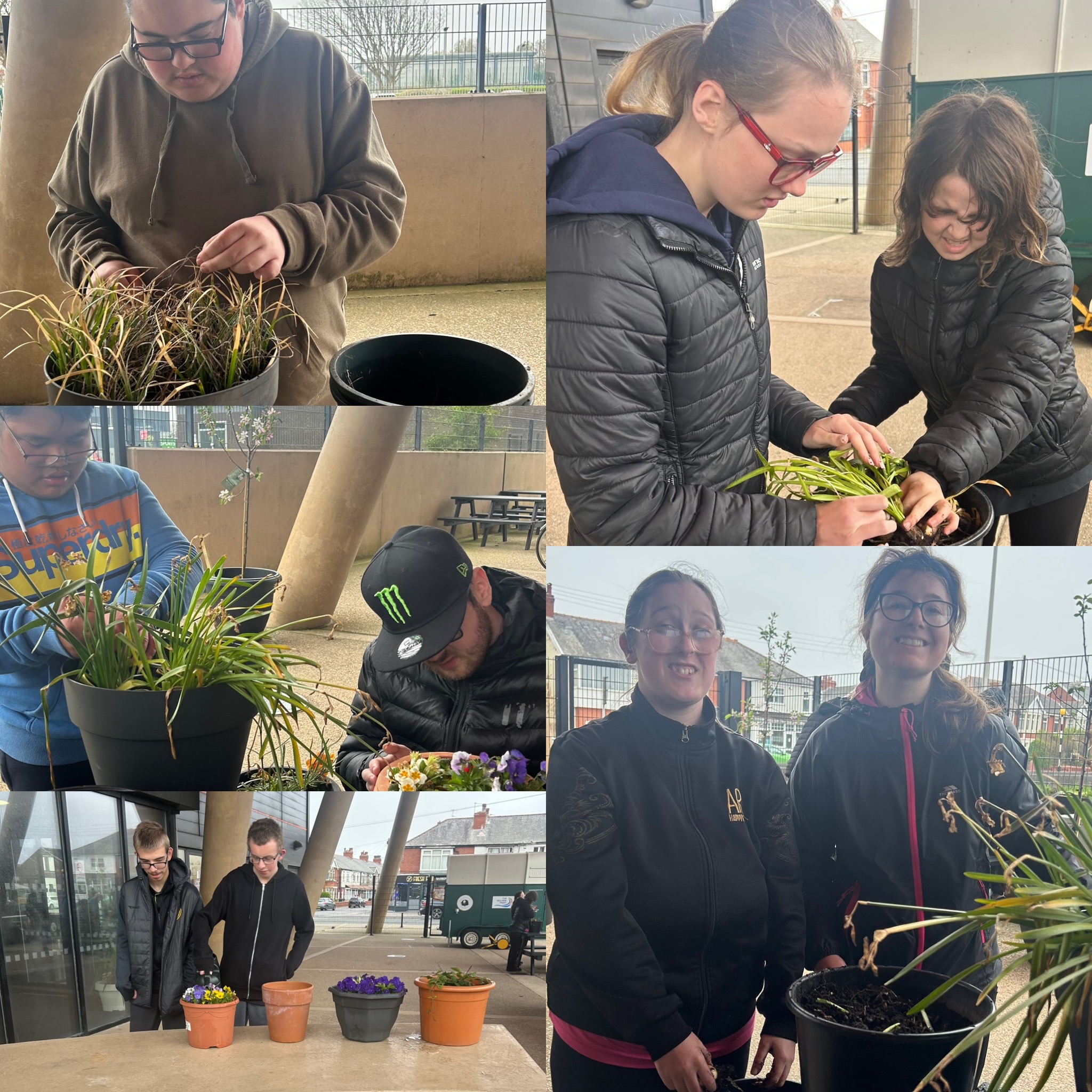 Image of The Oracle garden