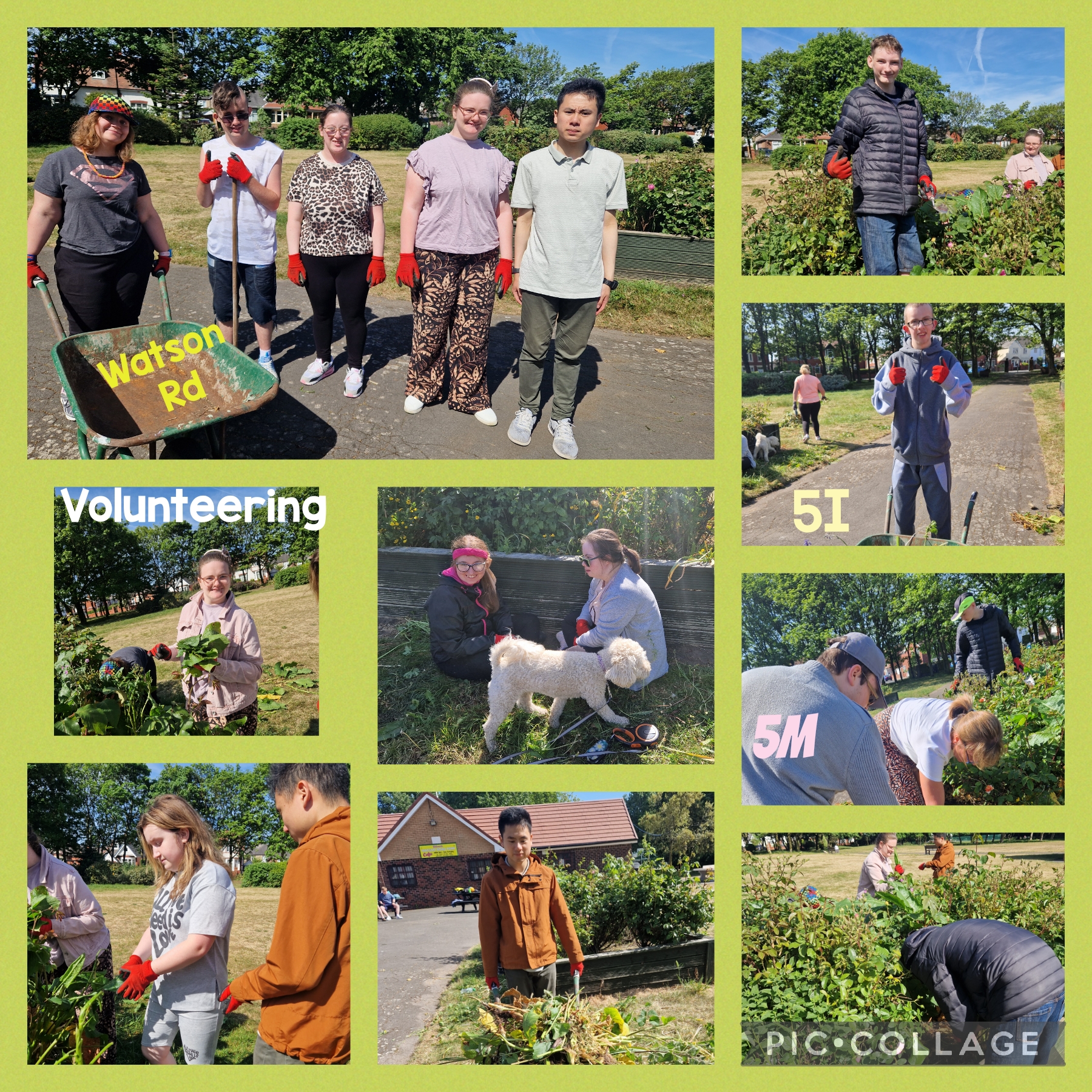 Image of Volunteering @Watson Road Park