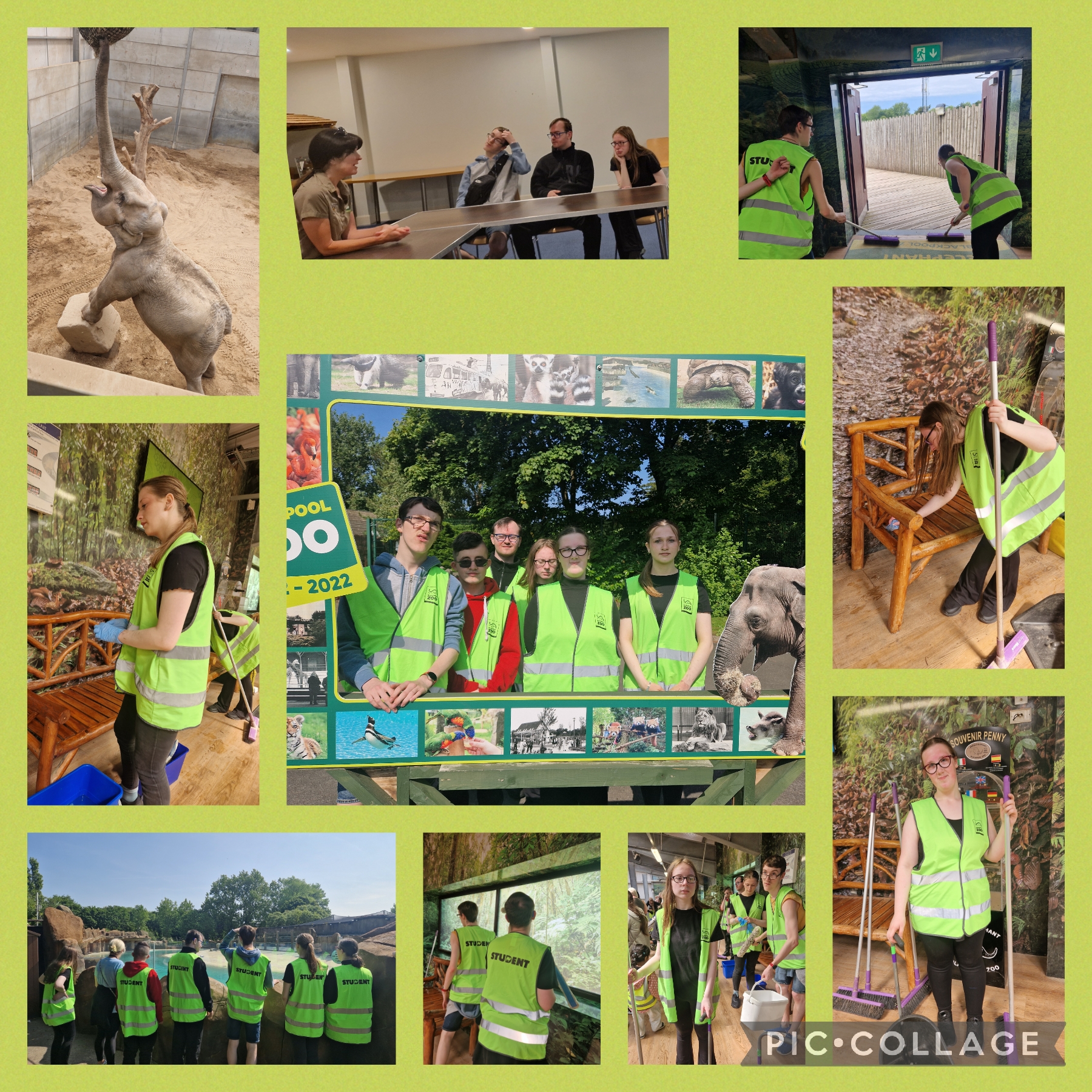 Image of Work Experience @Blackpool Zoo 