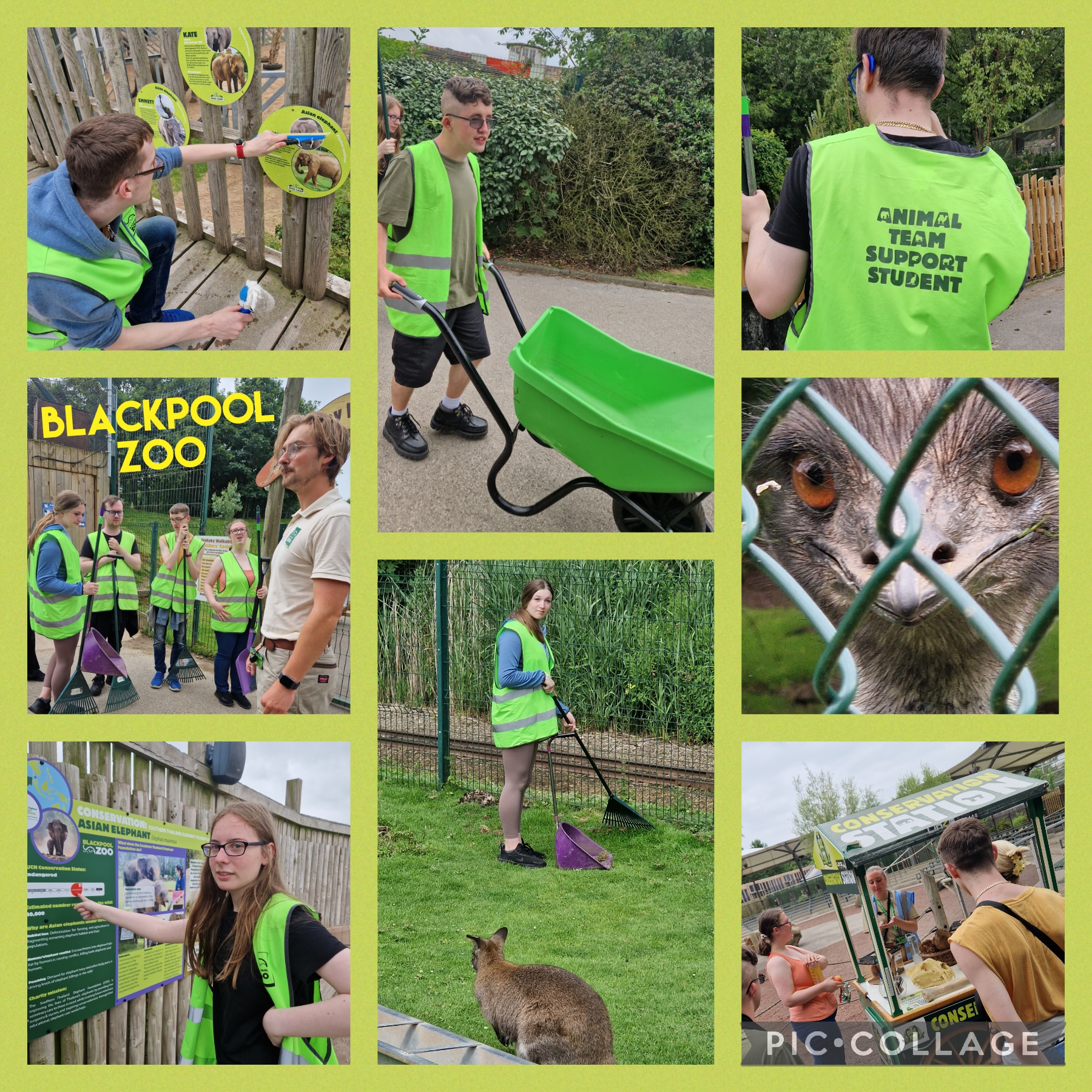 Image of Work Experience @Blackpool Zoo