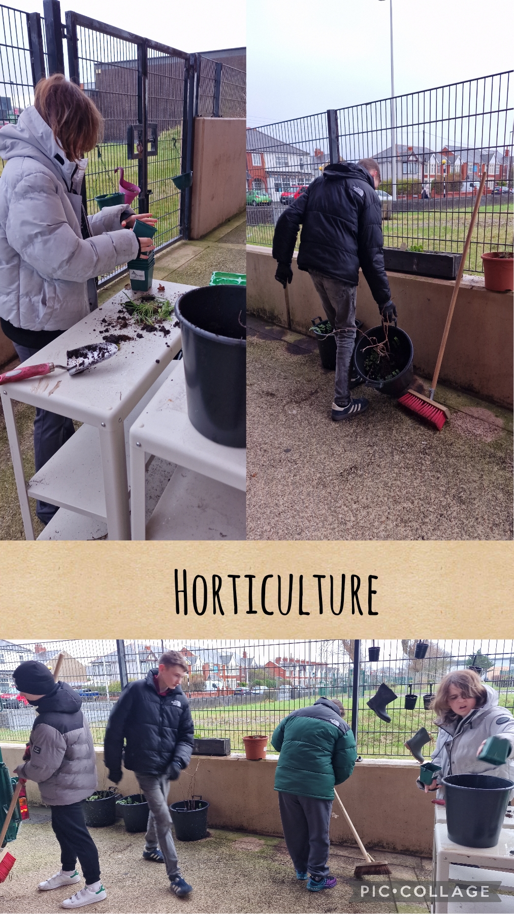 Image of Horticulture 