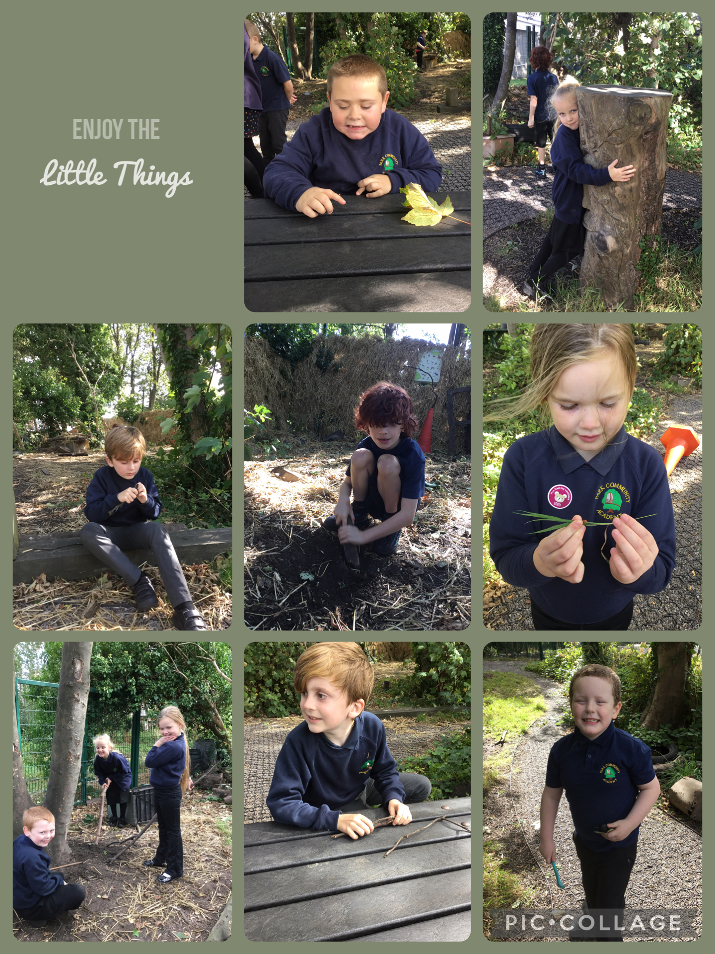 Image of Forest fun