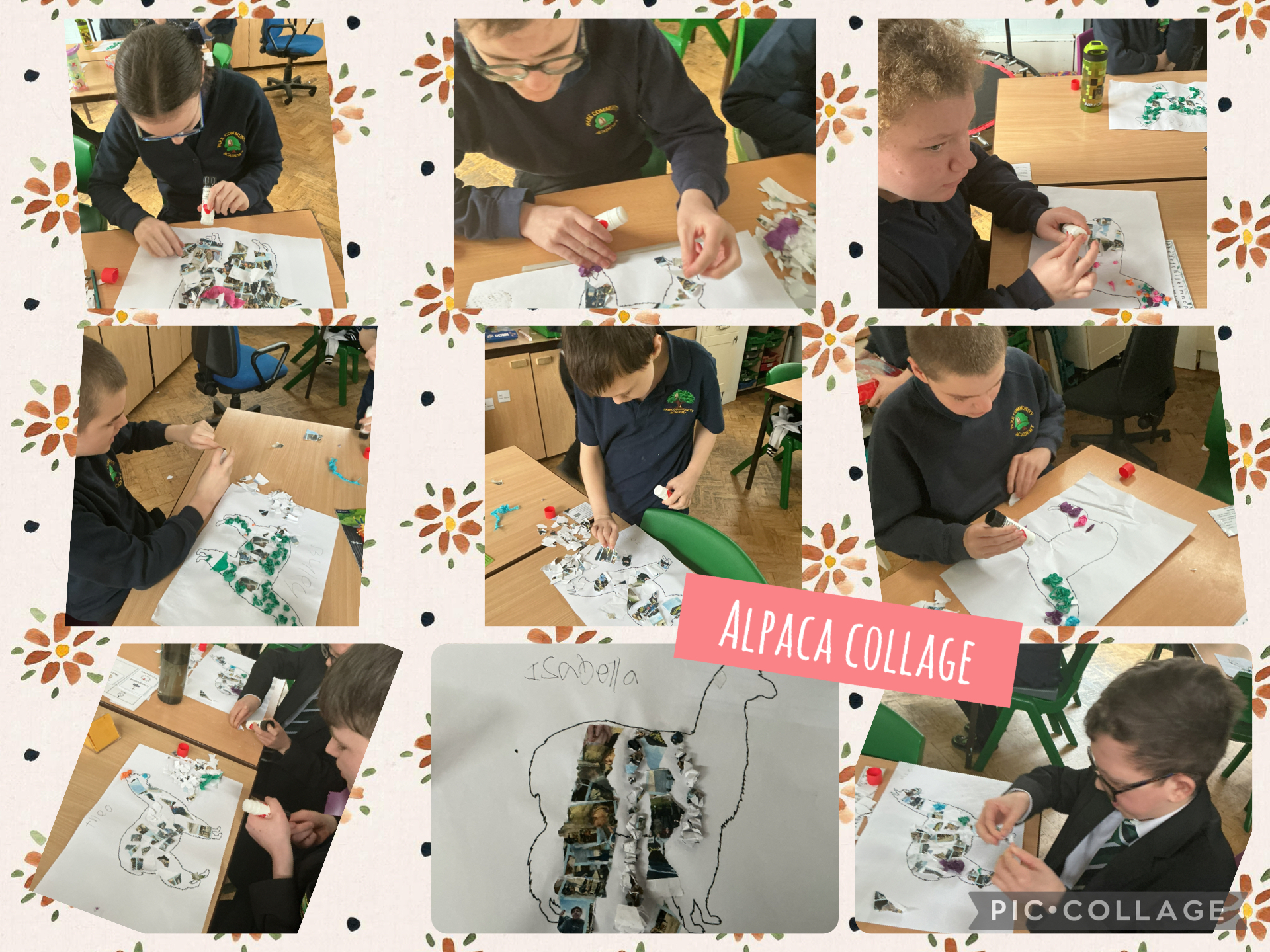 Image of Alpaca Collage! 