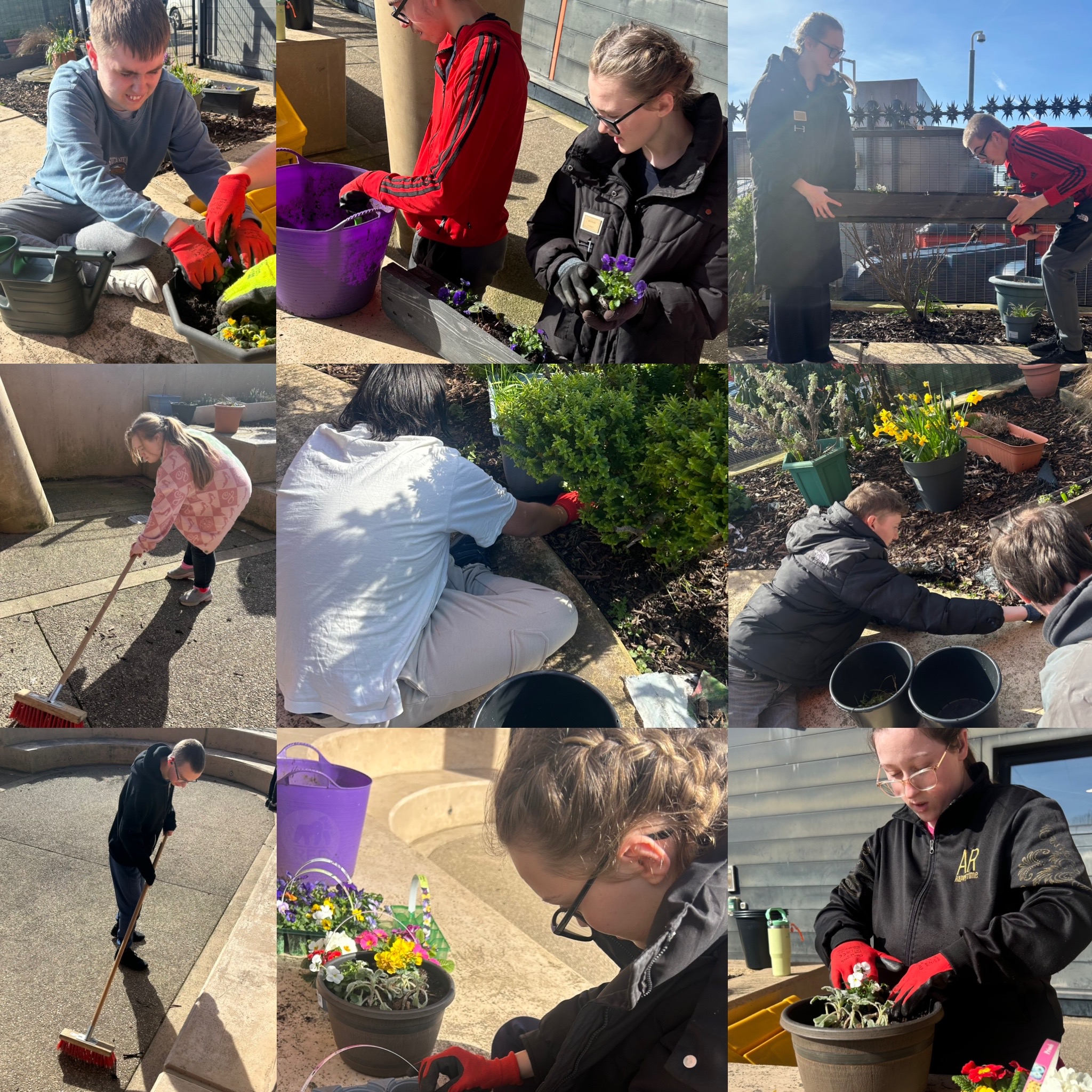 Image of Oracle garden