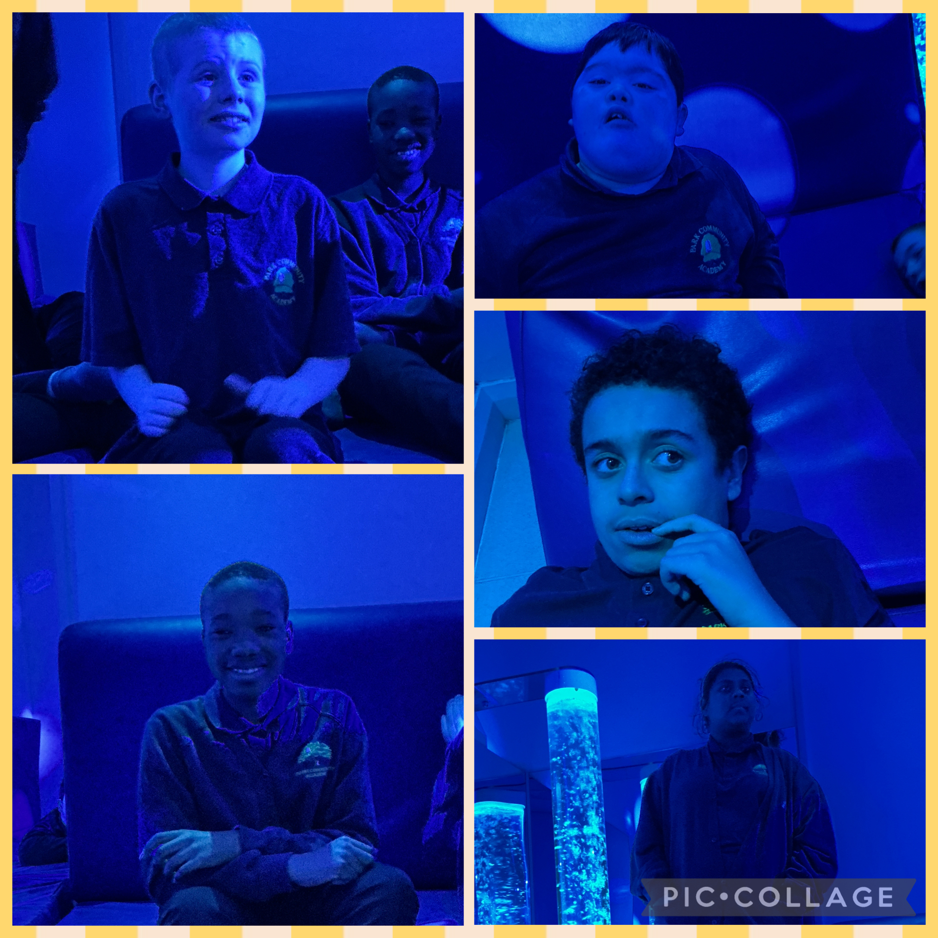 Image of Sensory room fun