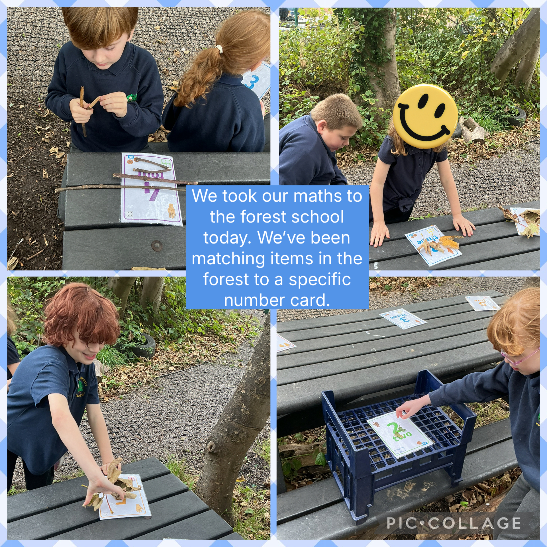 Image of Maths in the forest