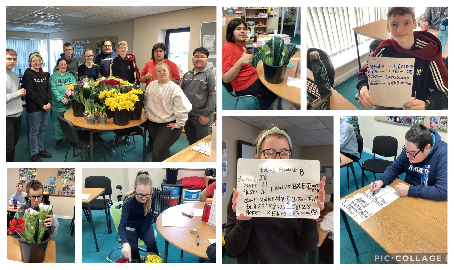 Image of Functional maths