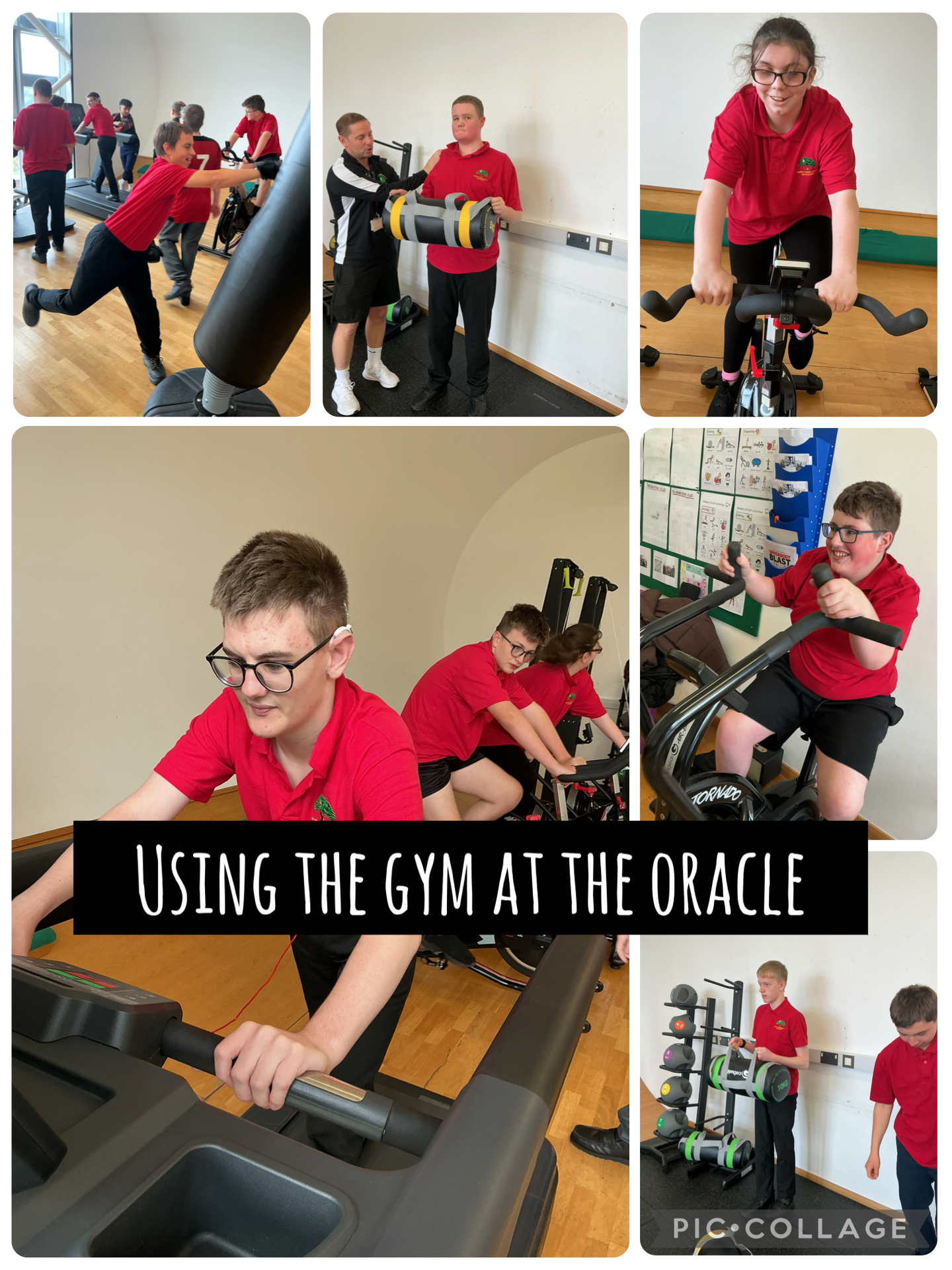 Image of Using the gym at the Oracle 
