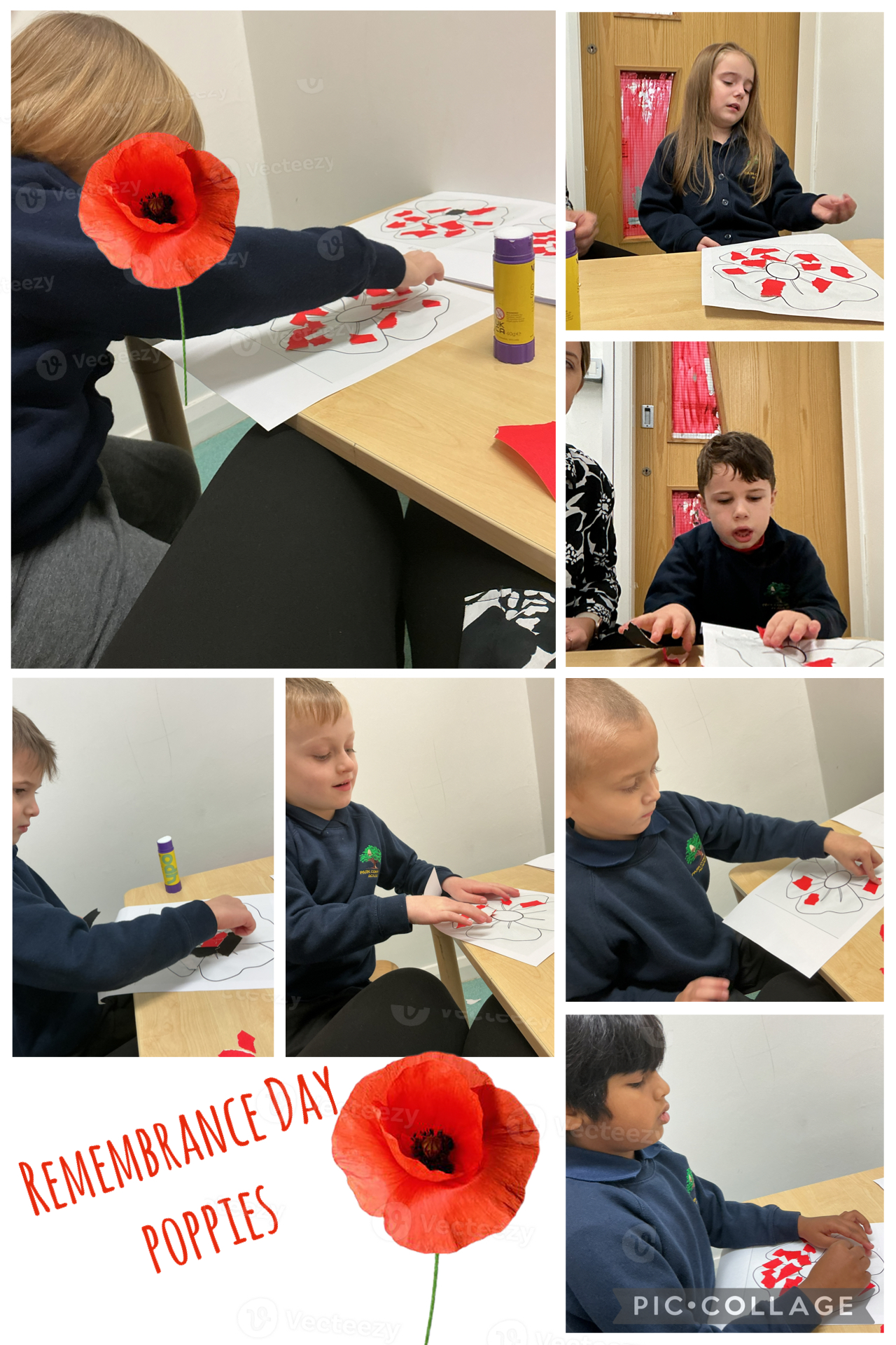 Image of Our Poppies