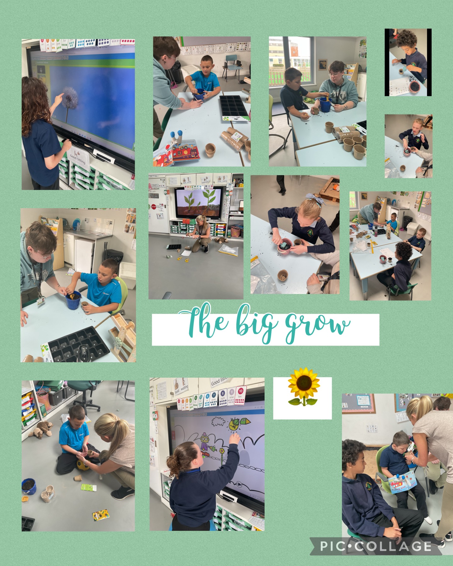 Image of The big grow