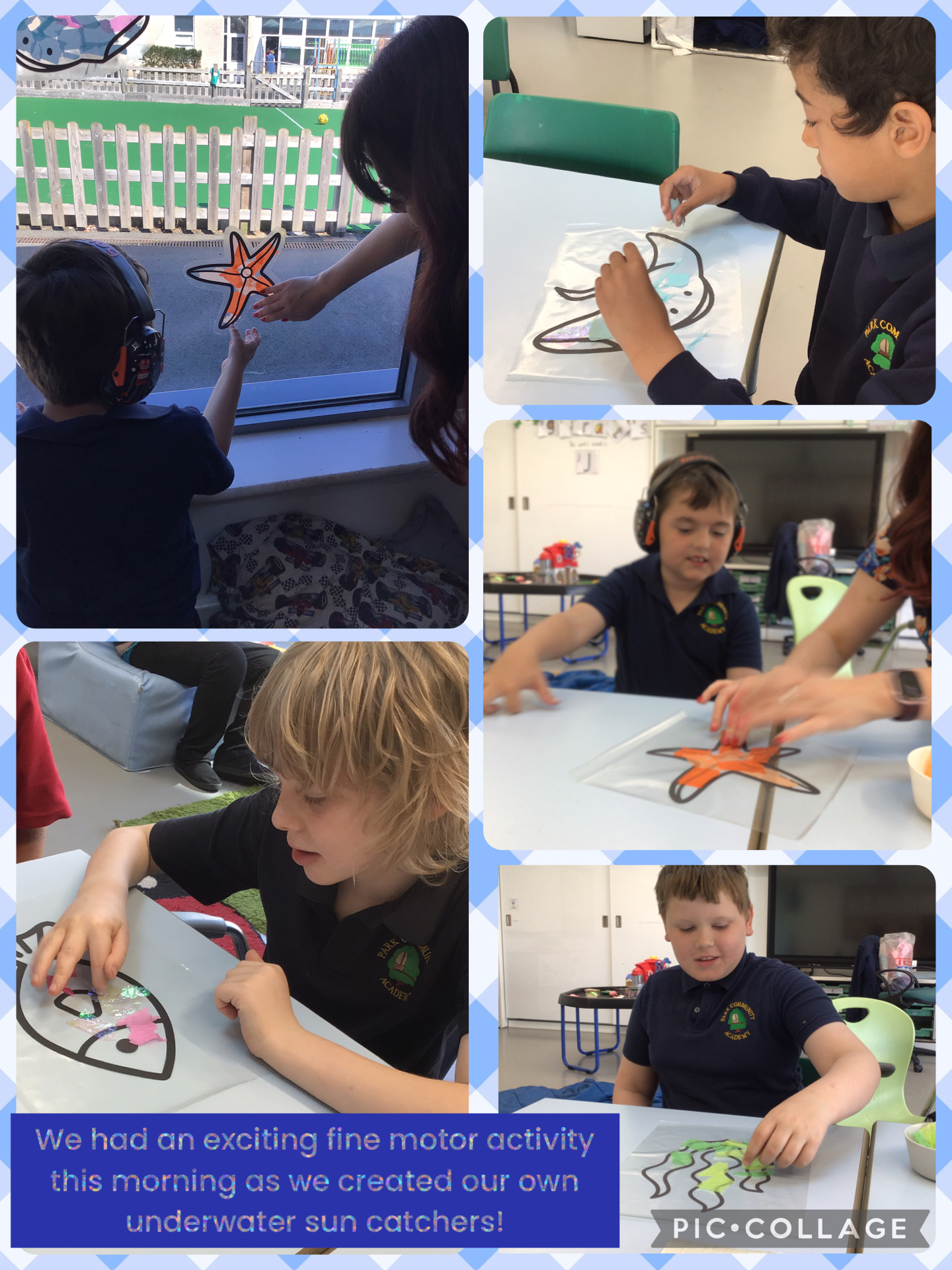 Image of Under the sea sun catchers!