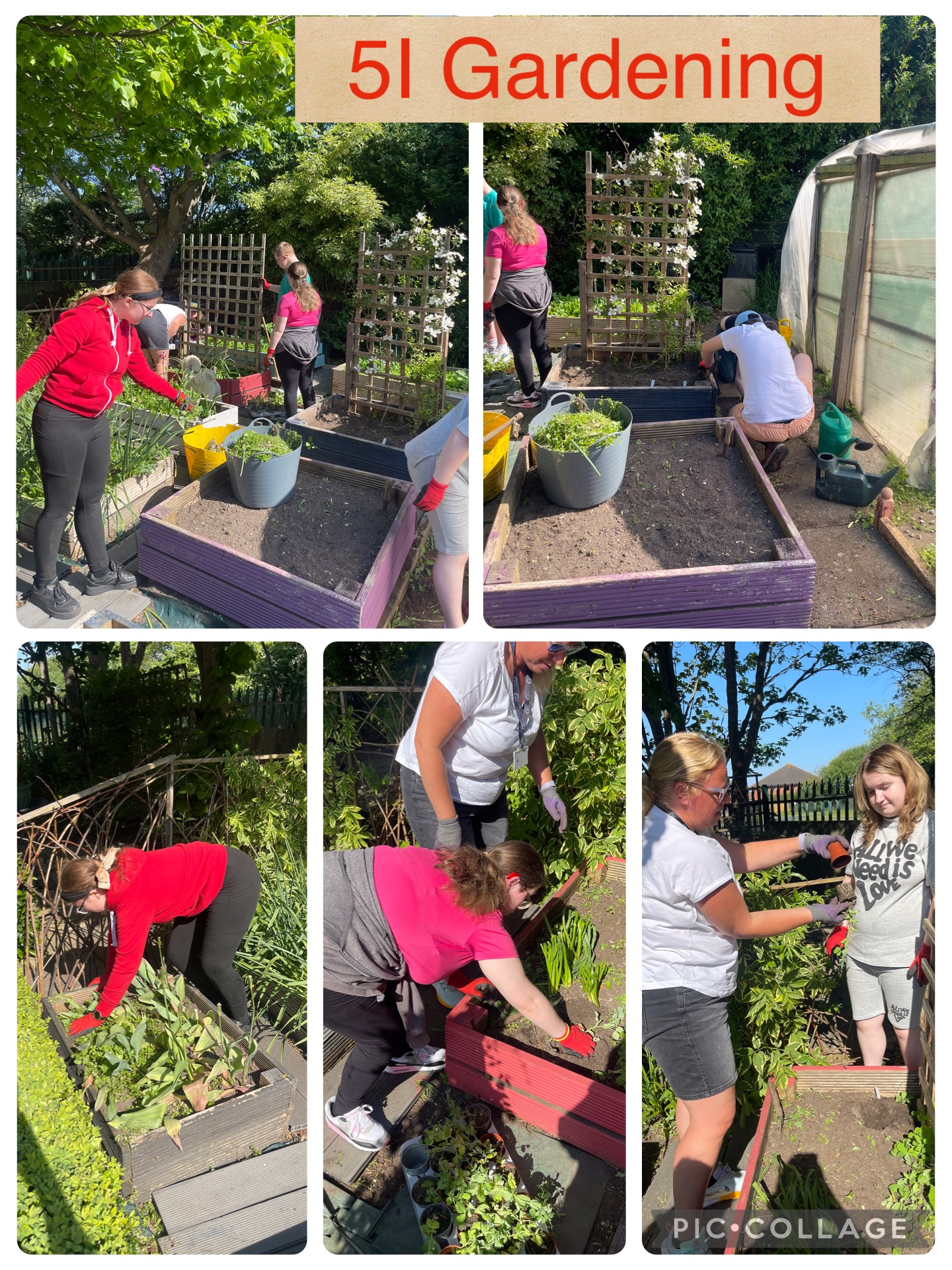 Image of Gardening