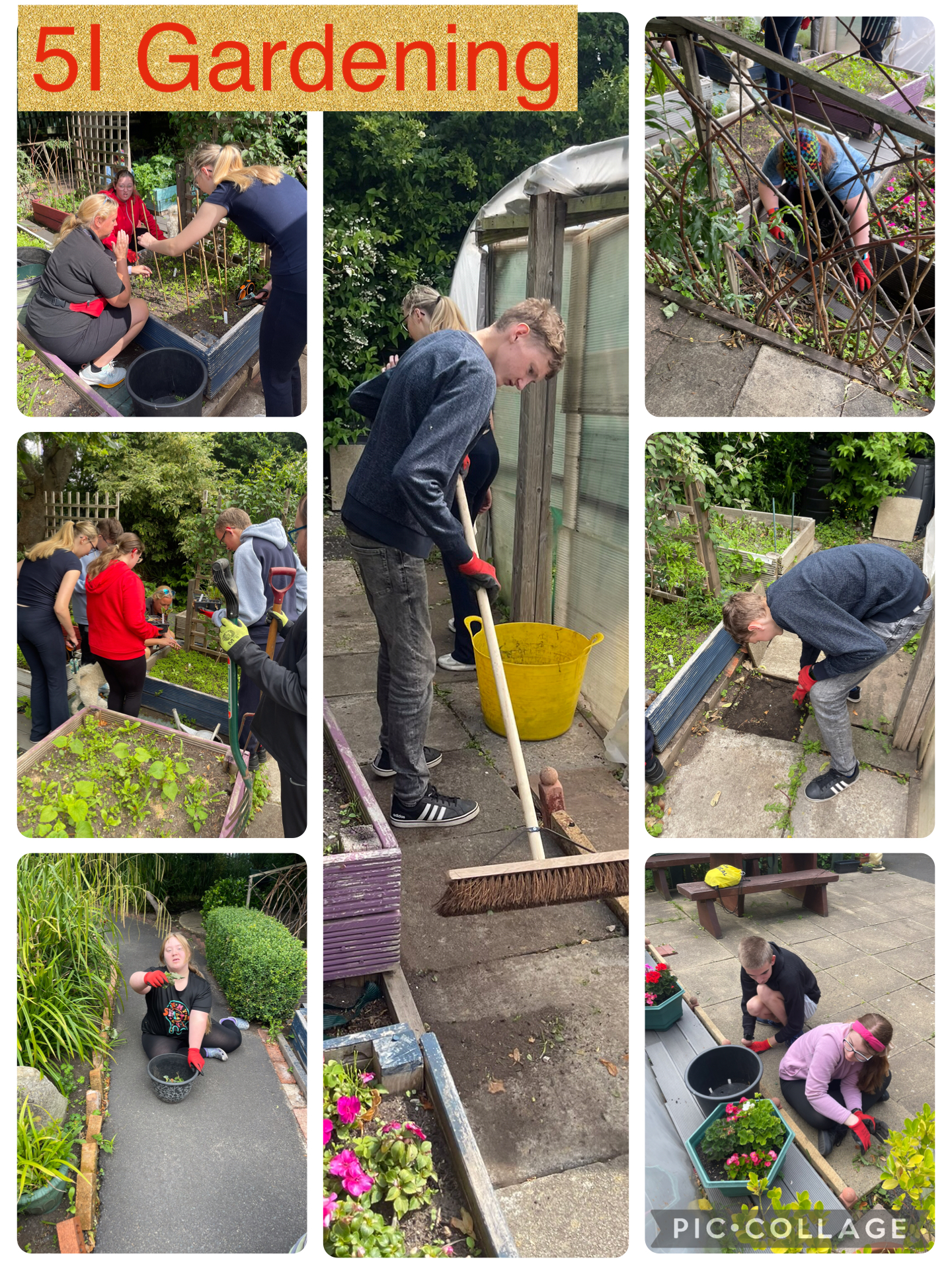 Image of 5I Gardening at Watson Road 
