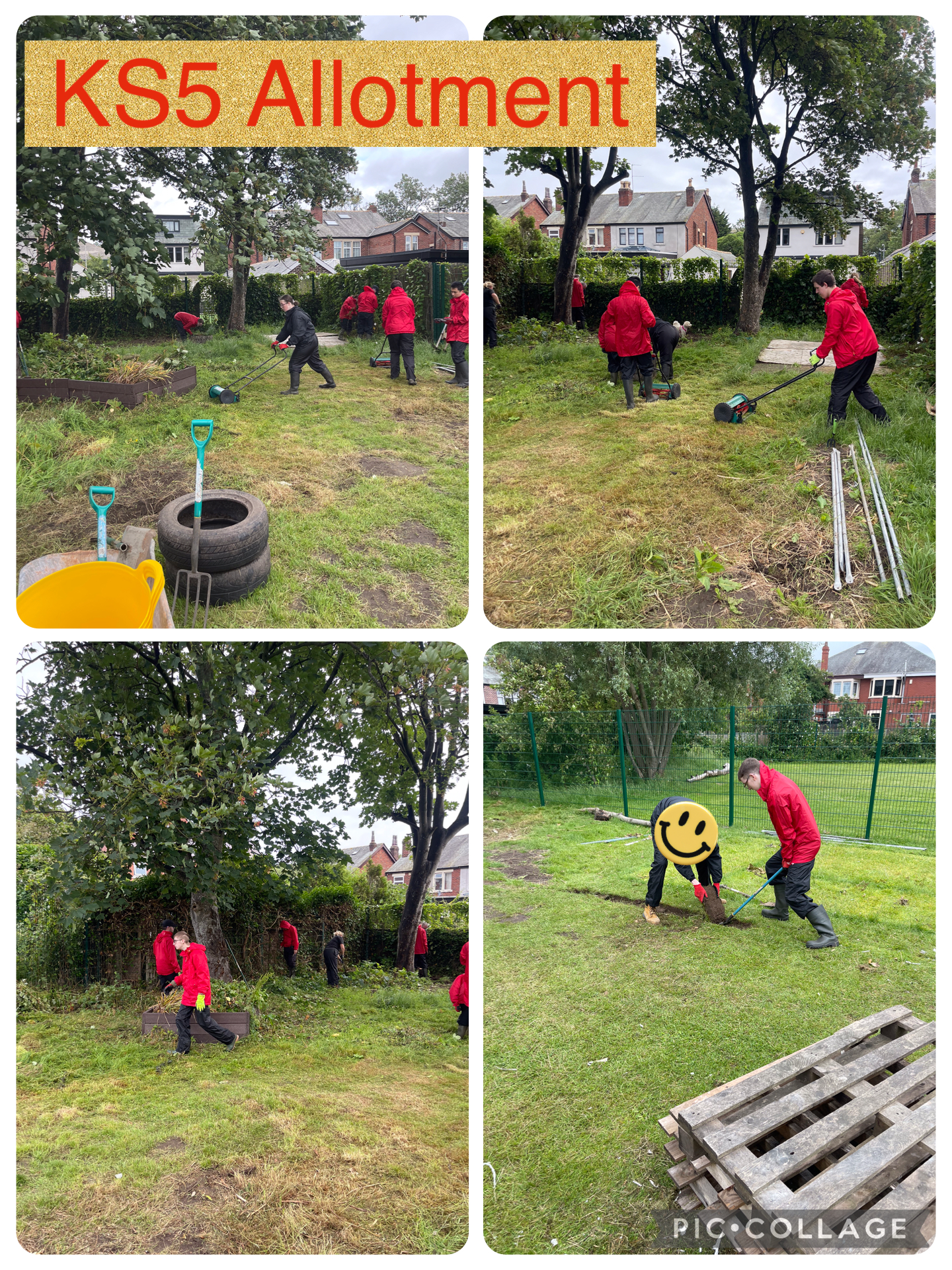 Image of KS5 Allotment