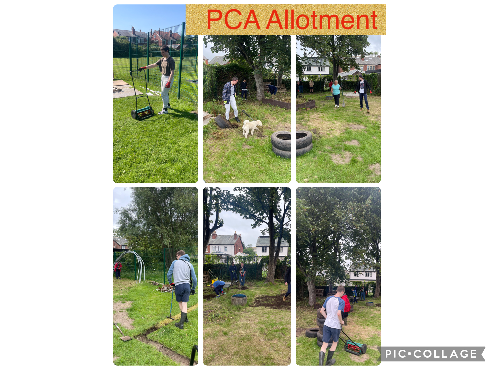 Image of PCA allotment