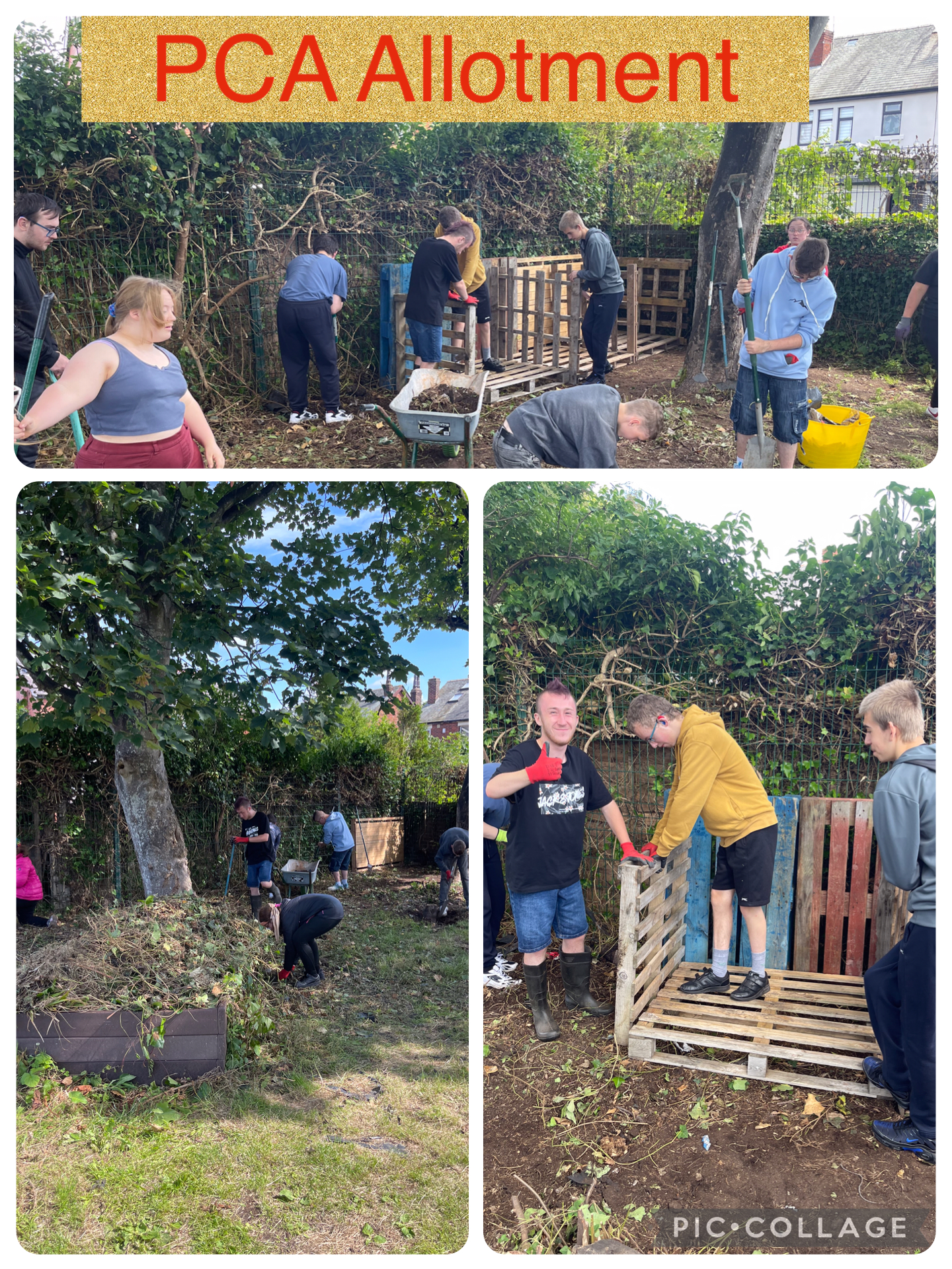 Image of PCA Allotment: Growing Skills and Community